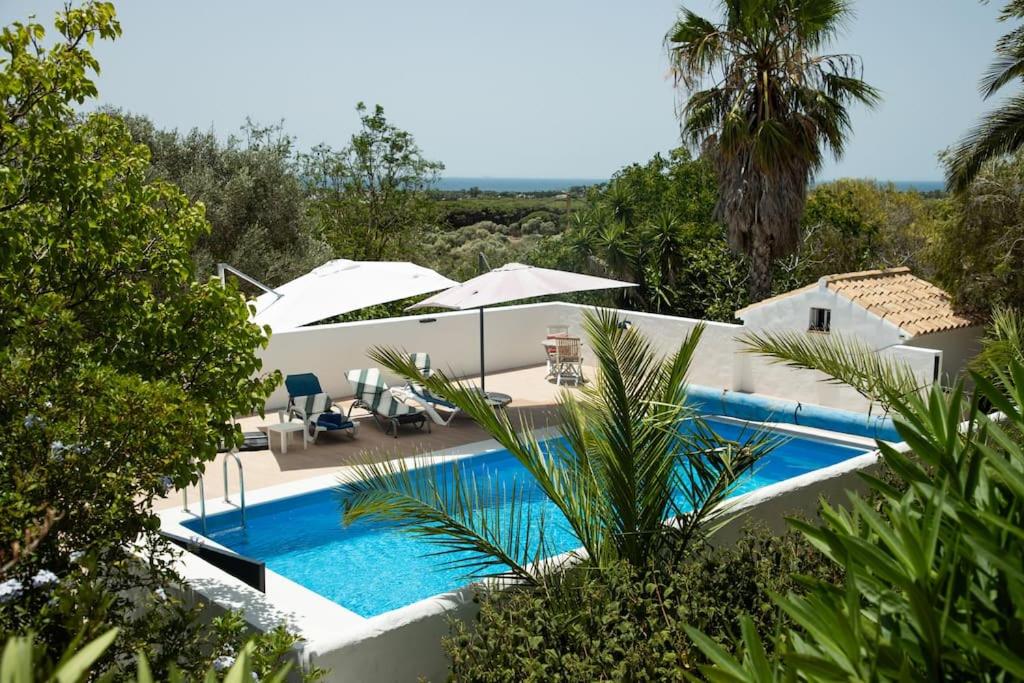 Casa Bella Sombra: Sea, Pool, Forest, Bikes view 3