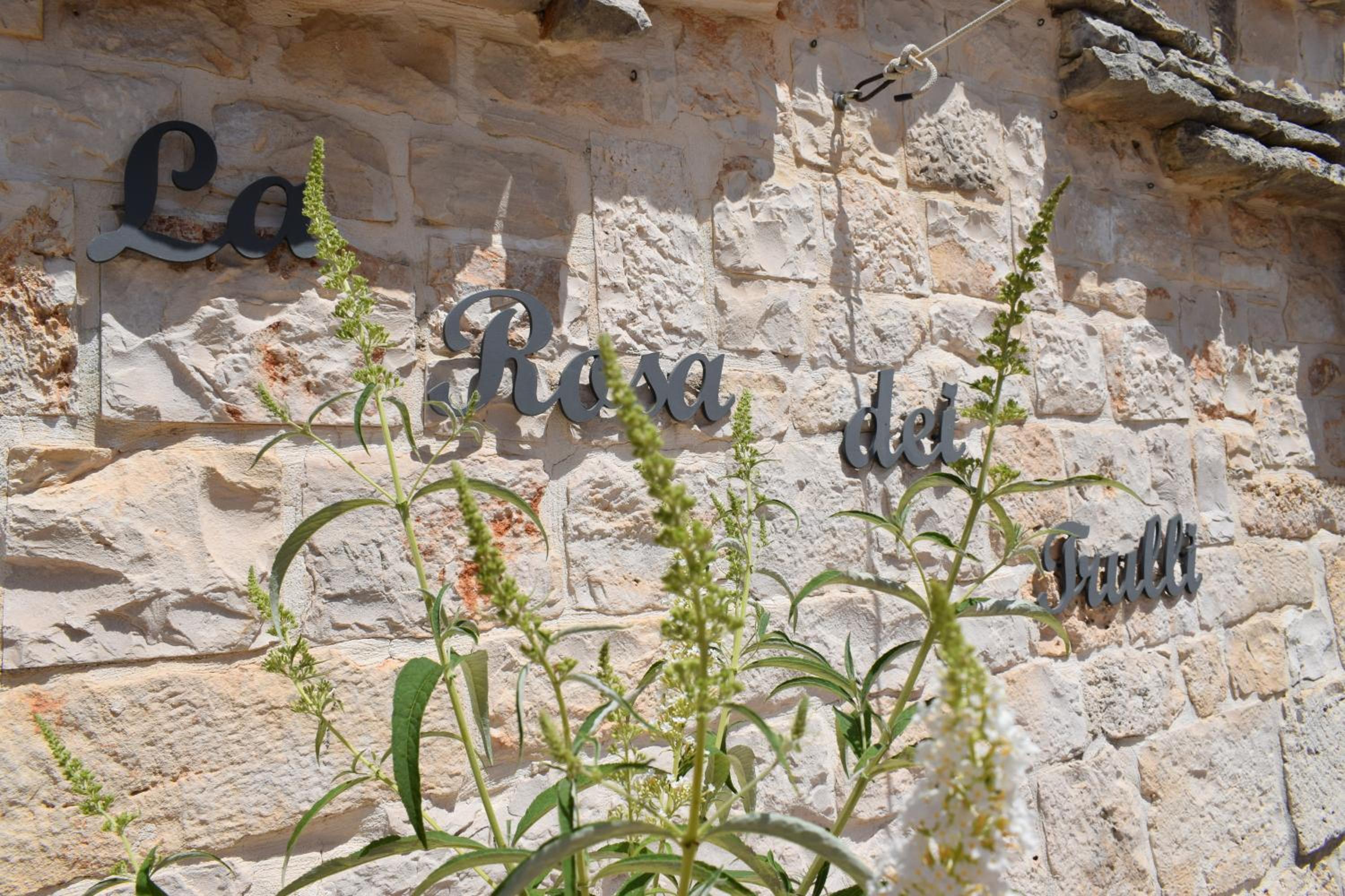 B&B La Rosa dei Trulli Alberobello