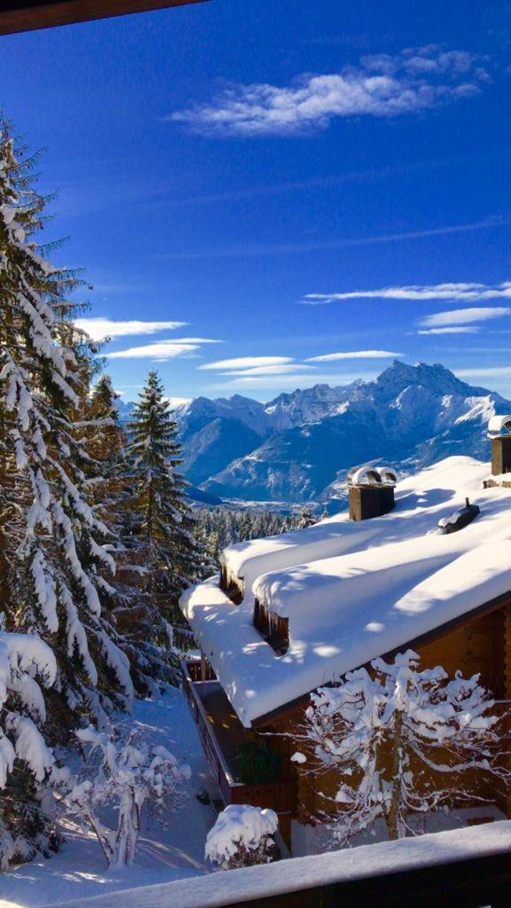 Chalet Bellevue, Villars-sur-Ollon