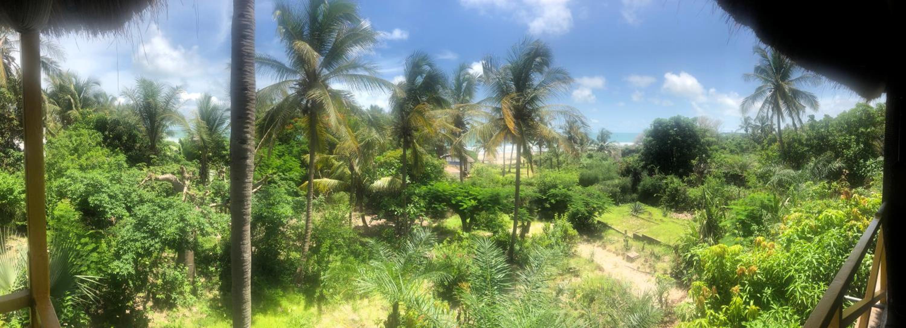 ECOLODGE SAFARI