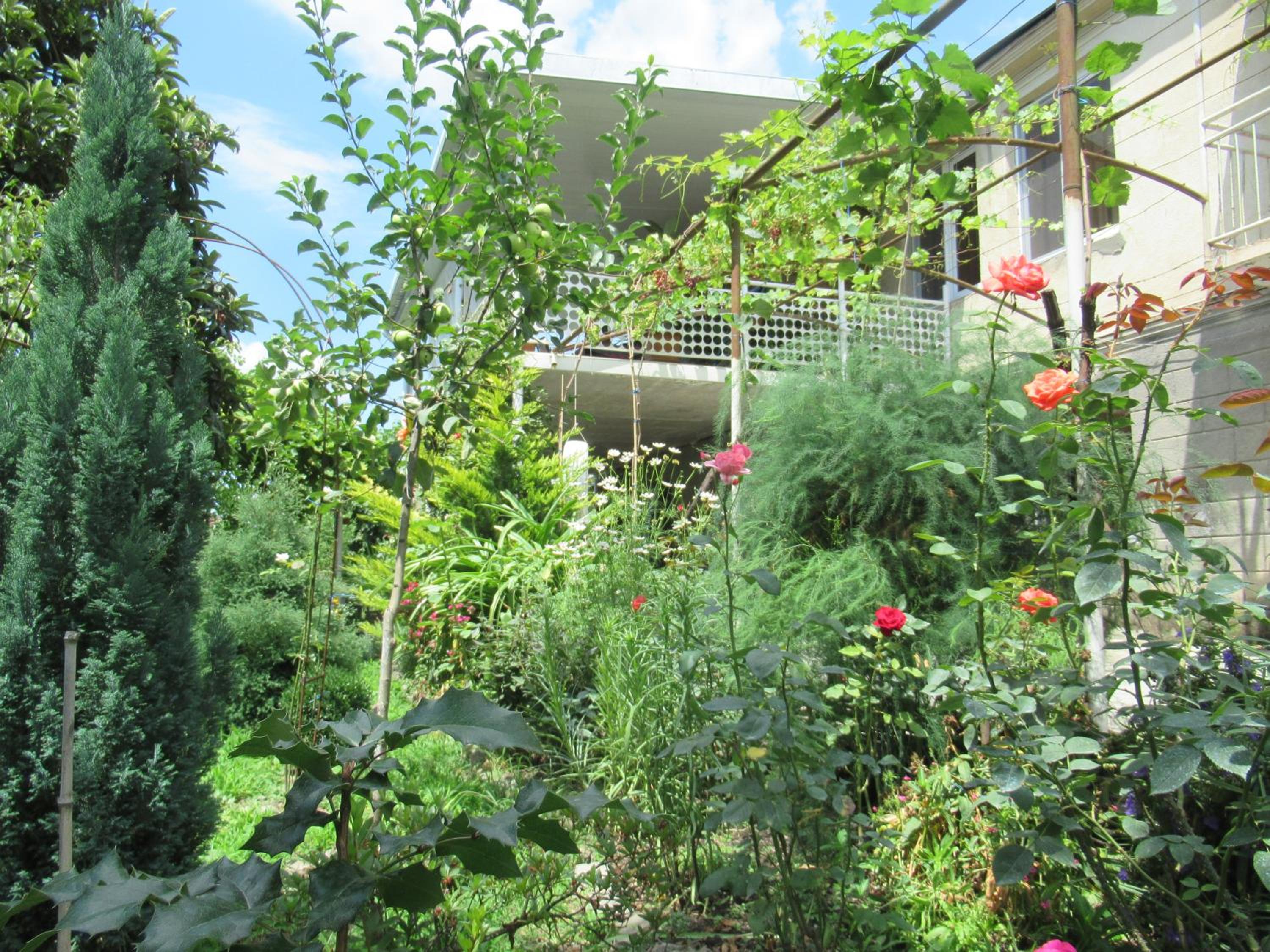 Photo 14