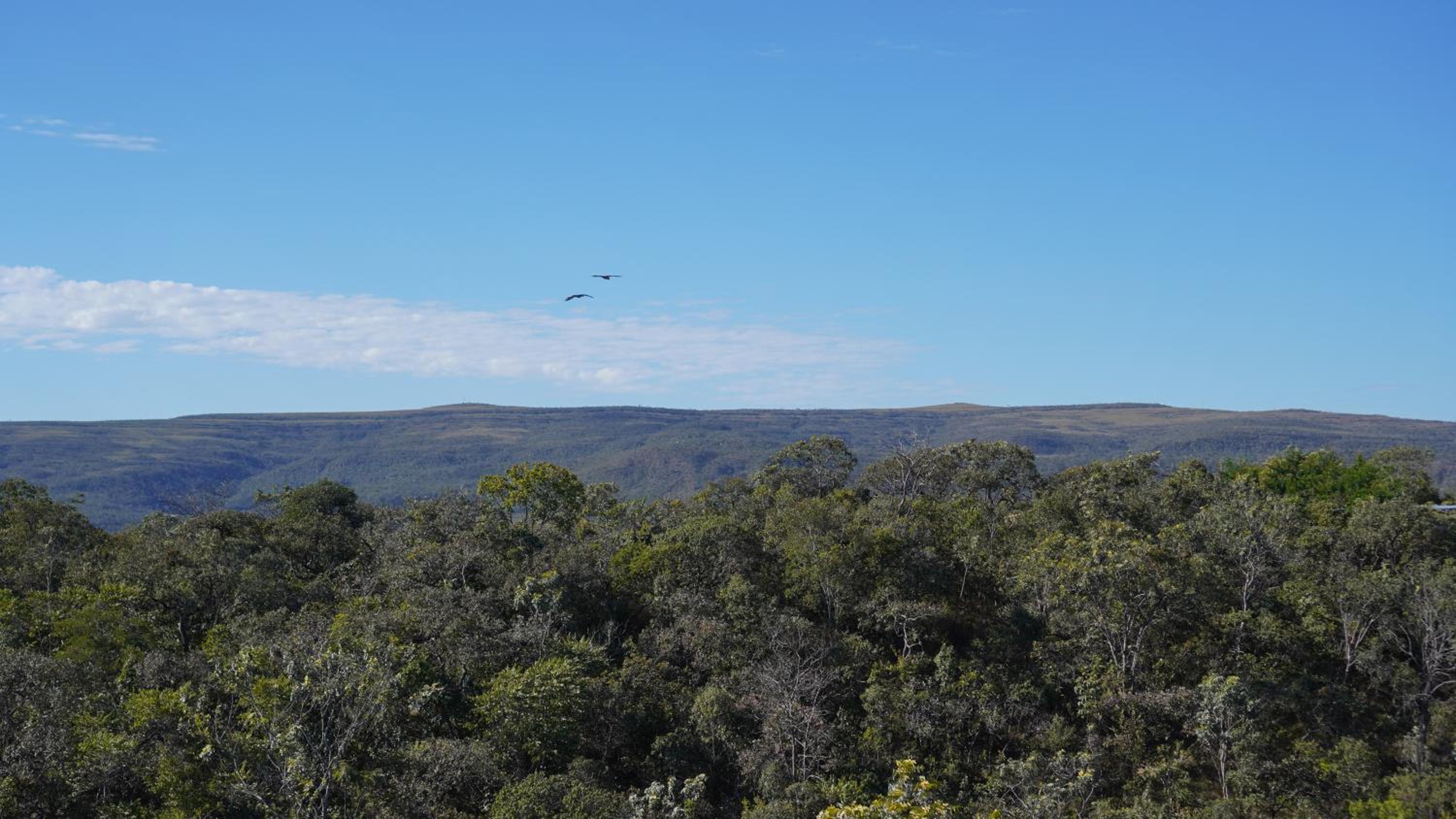 Vila Flor - Chapada dos Veadeiros