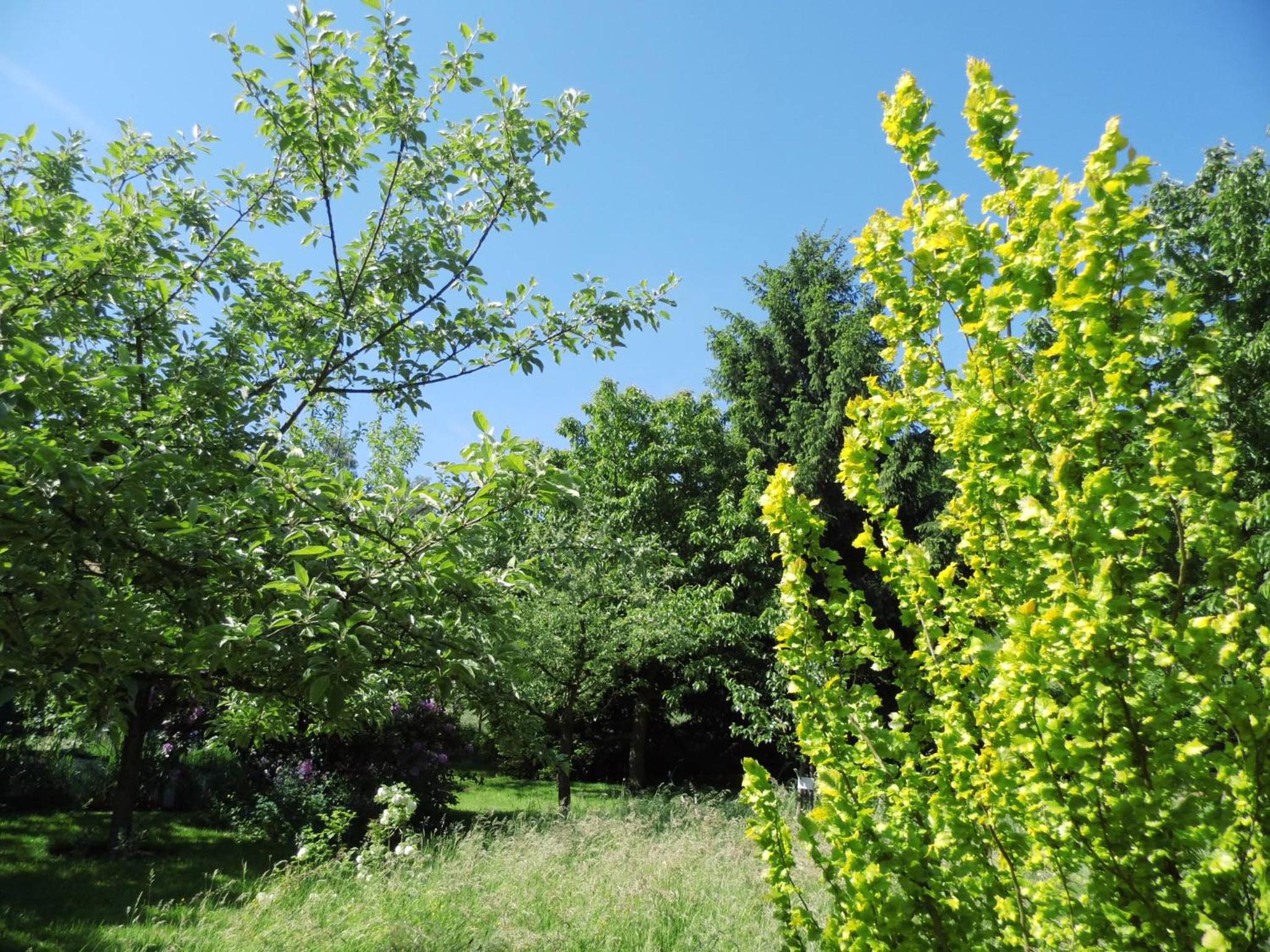 NaturflairHaus