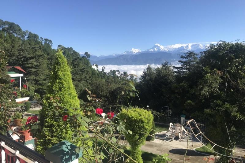 Mountain resort view