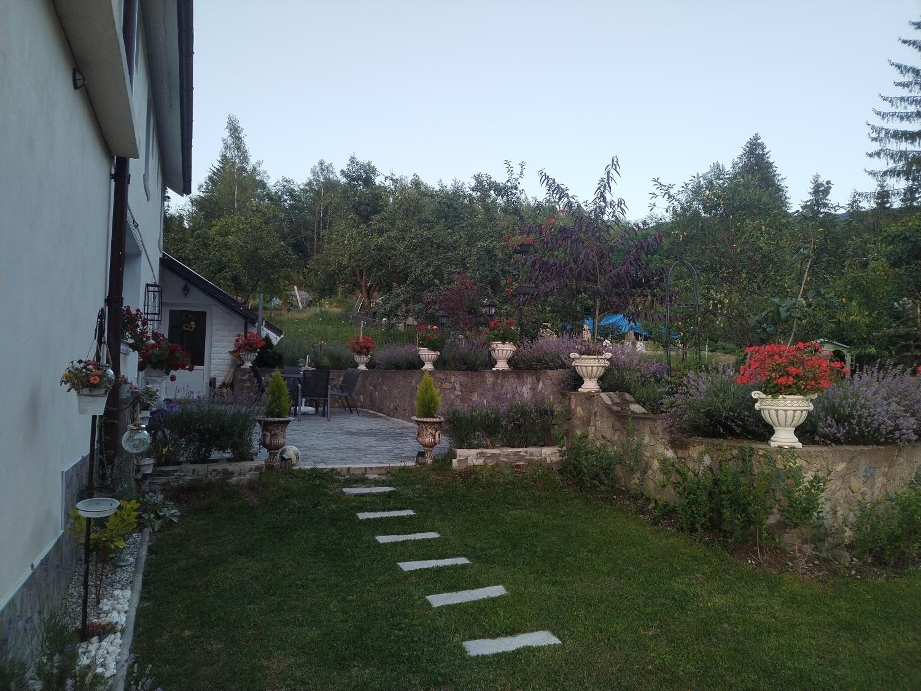 Photo 58