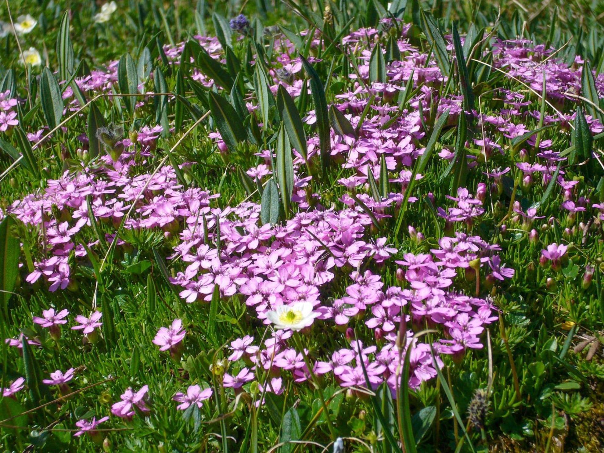 Photo 48