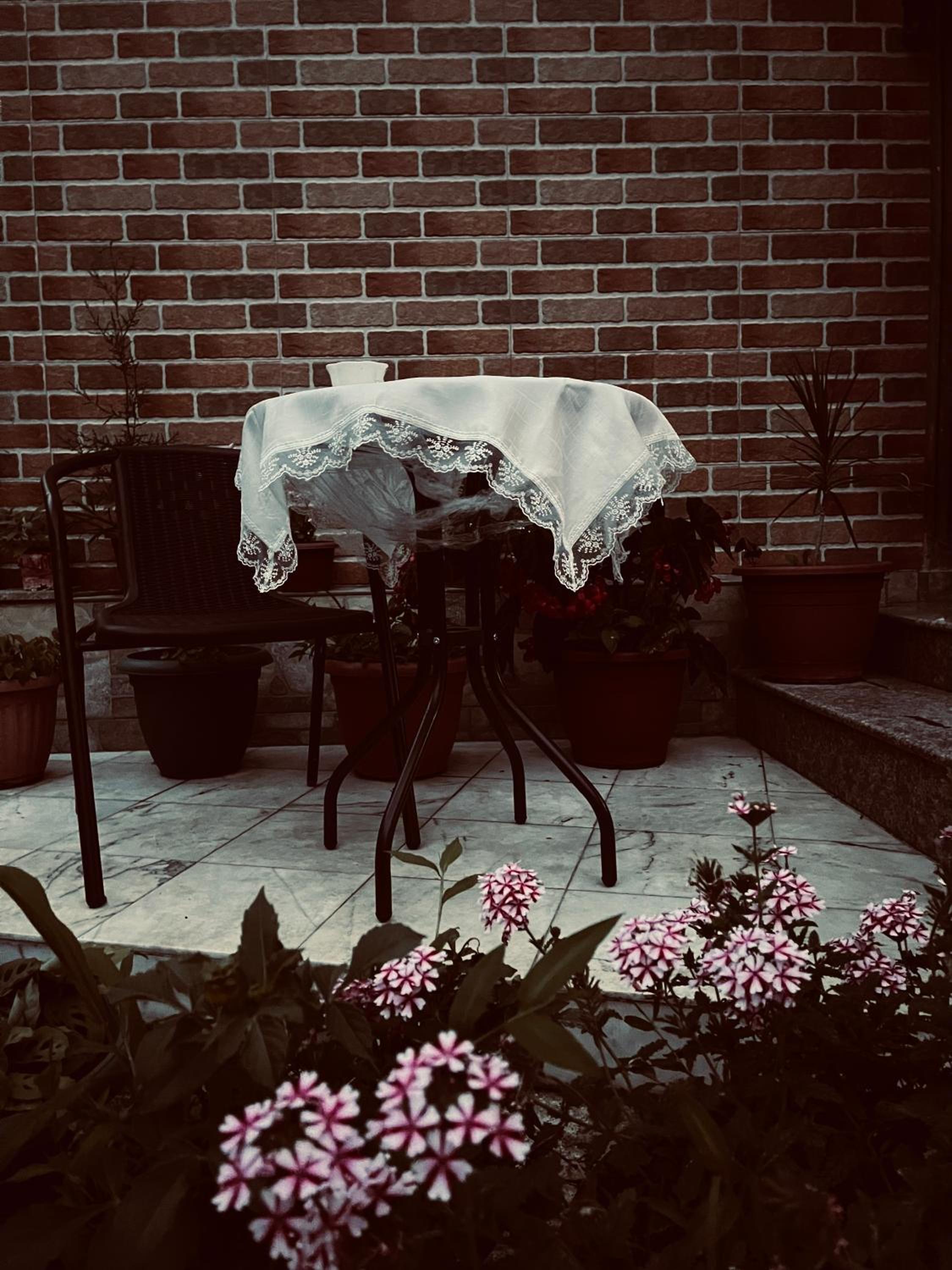 Photo 8