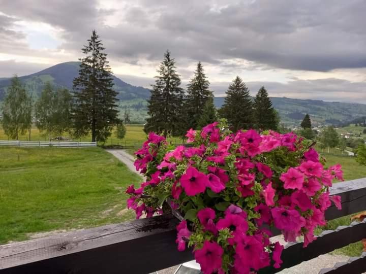 CASA LENA -VATRA DORNEI view 4