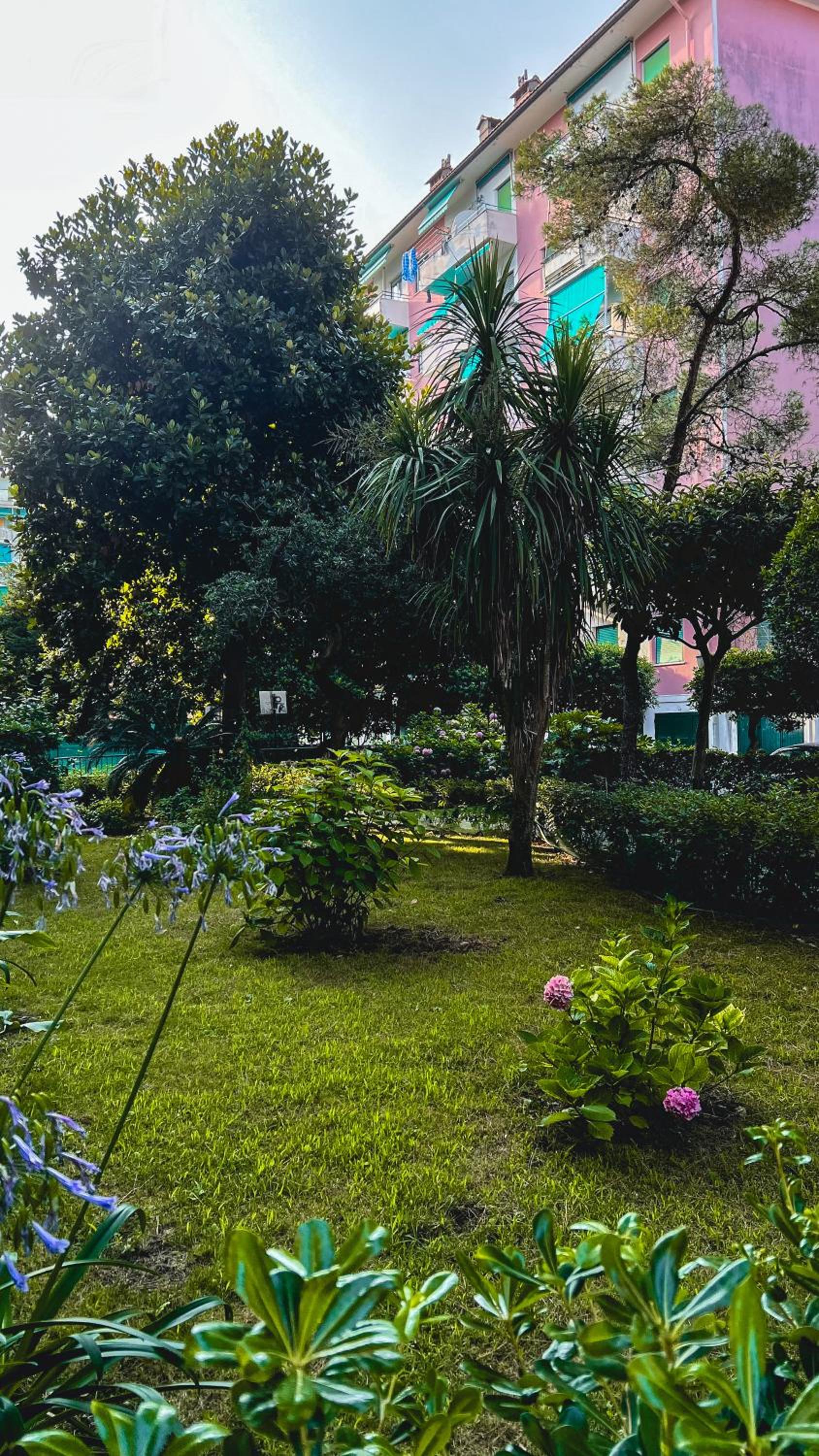 Casa Monuriki view 4