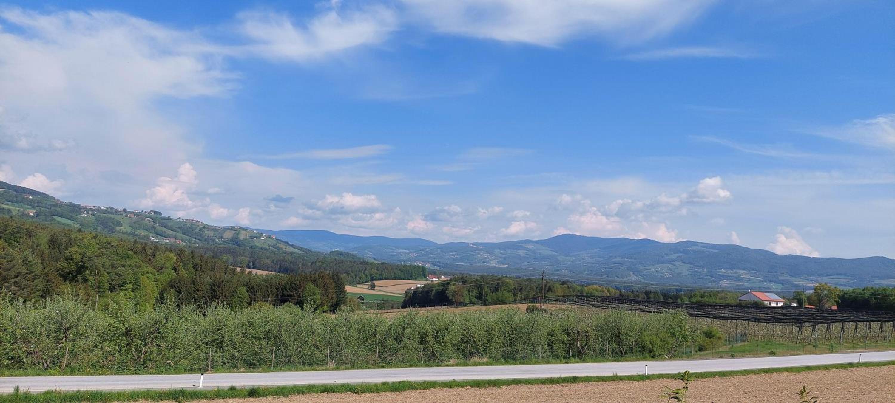Haus-im-Gruenen-Thermenregion-bei-Kaindorf-bei-Hartberg-Stubenbergsee view 5