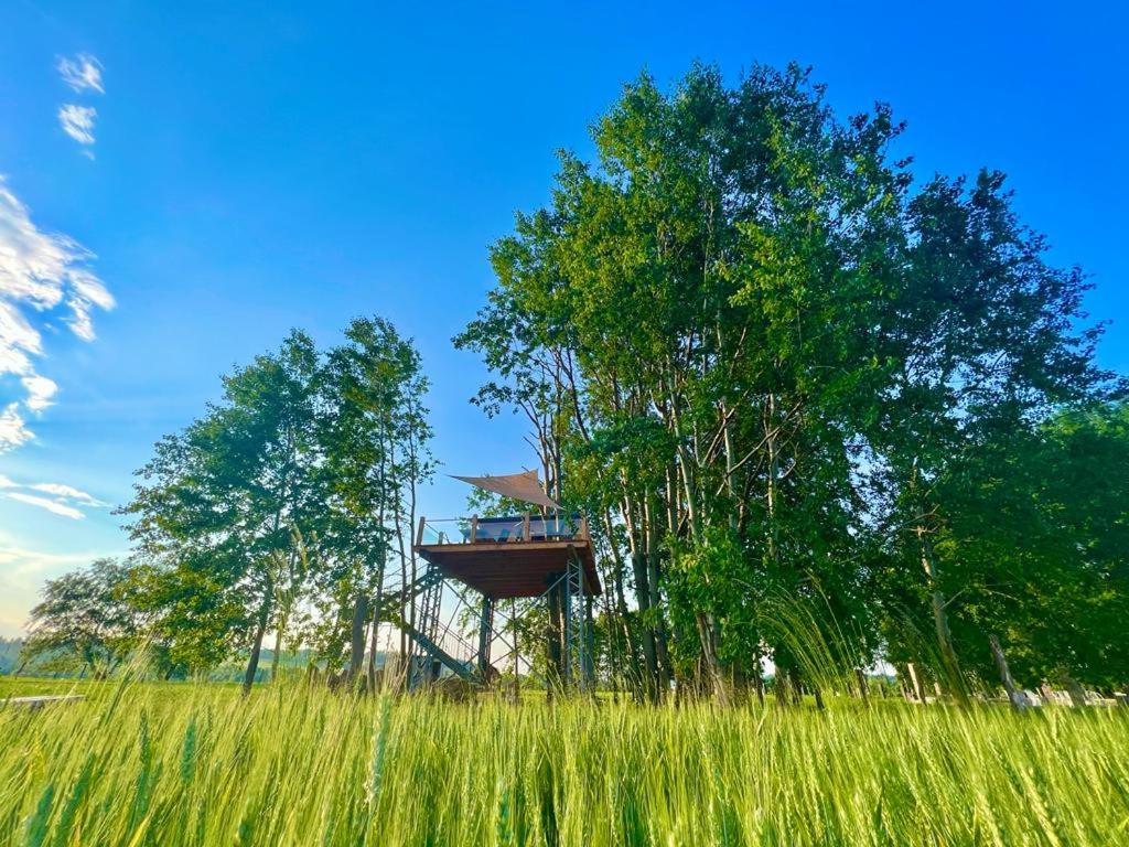 Zelený ostroff Treehouse