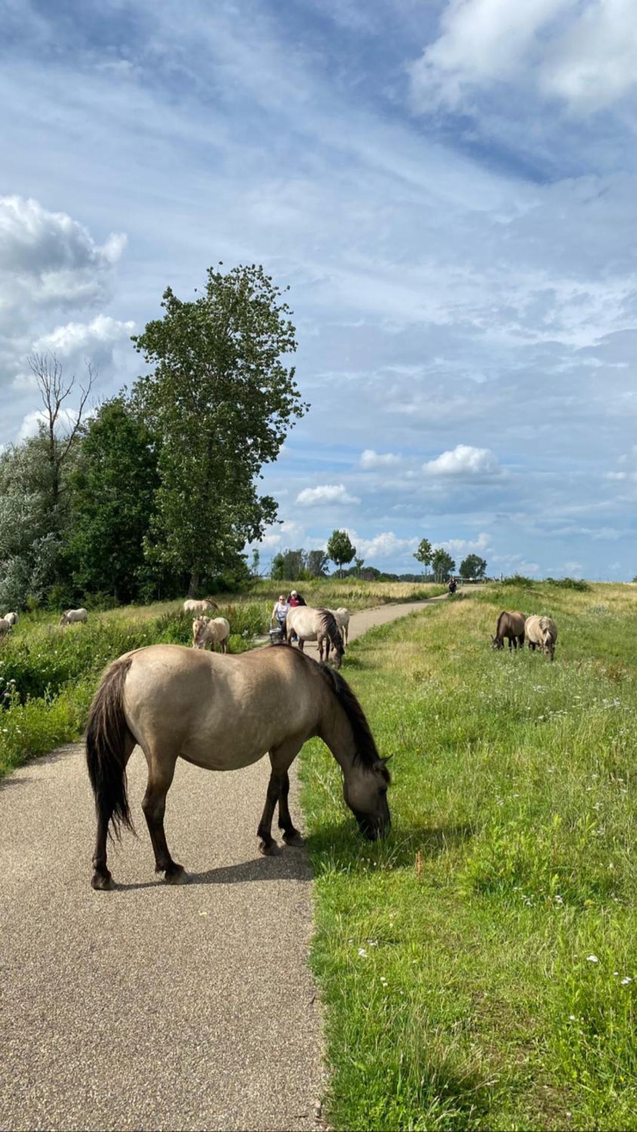 ‘t Vaerthuys