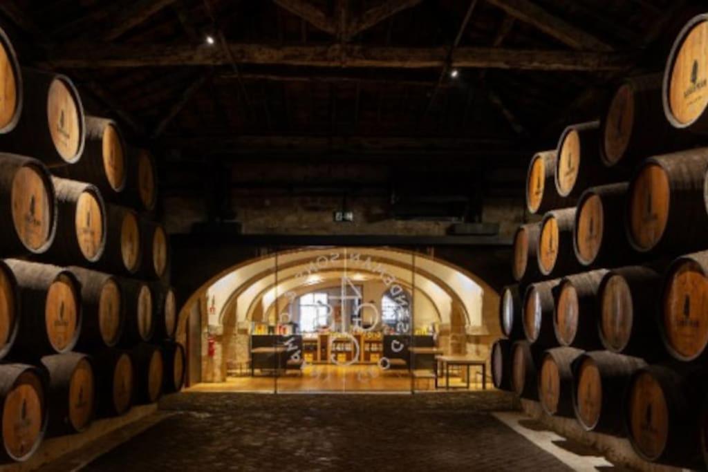 Loft in the historic center of Oporto downtown