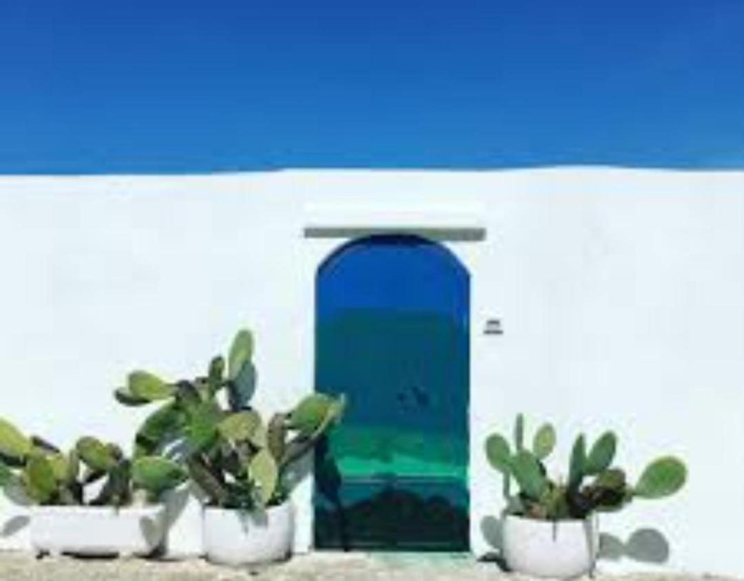 Casa Mirabilis 44