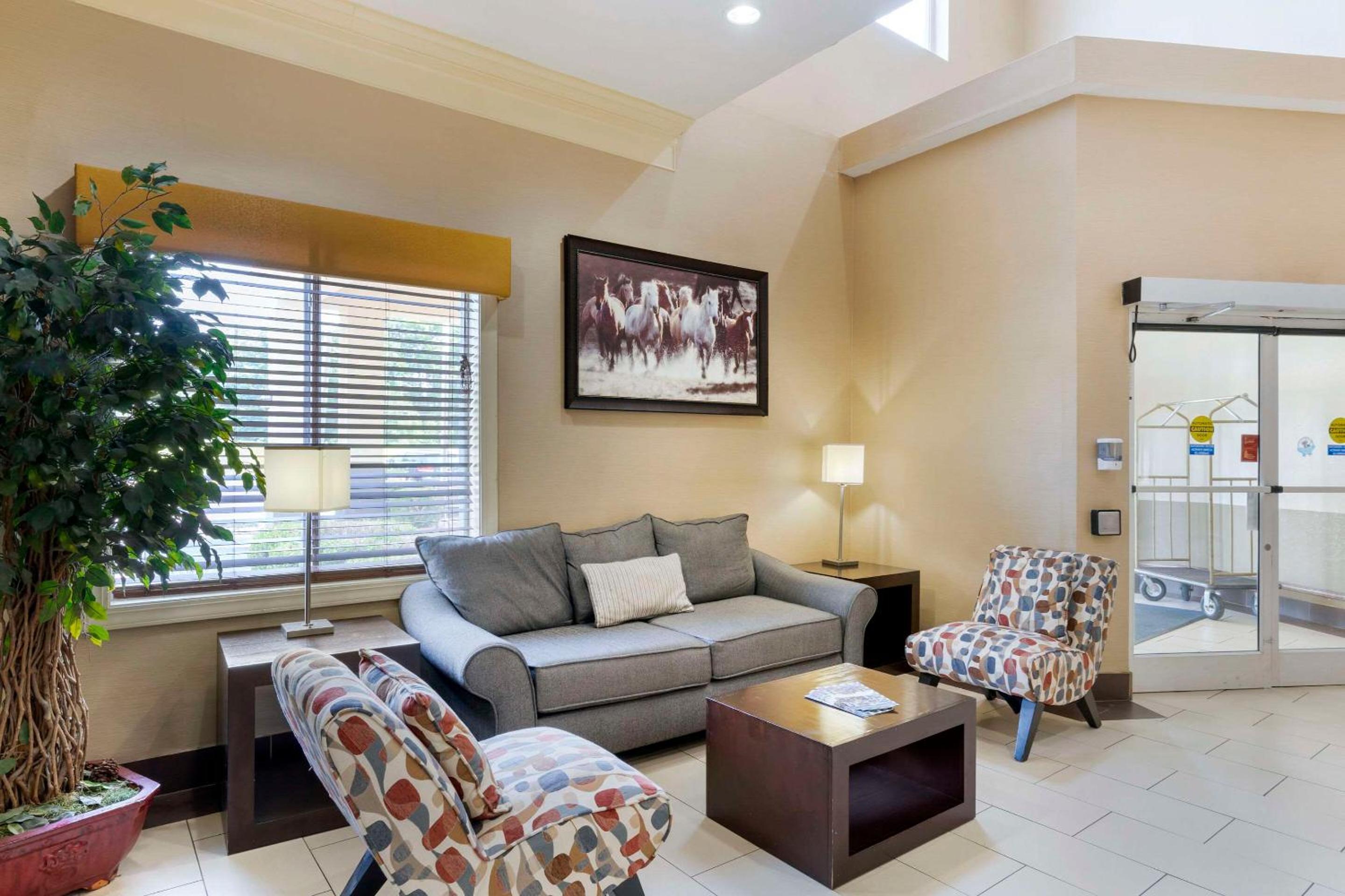 Spark by Hilton La Grange