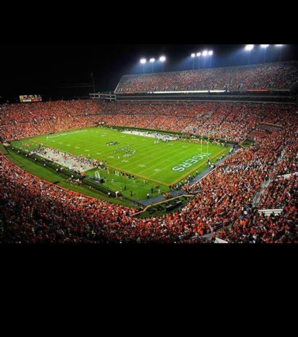 Paradise on the Plains view 5