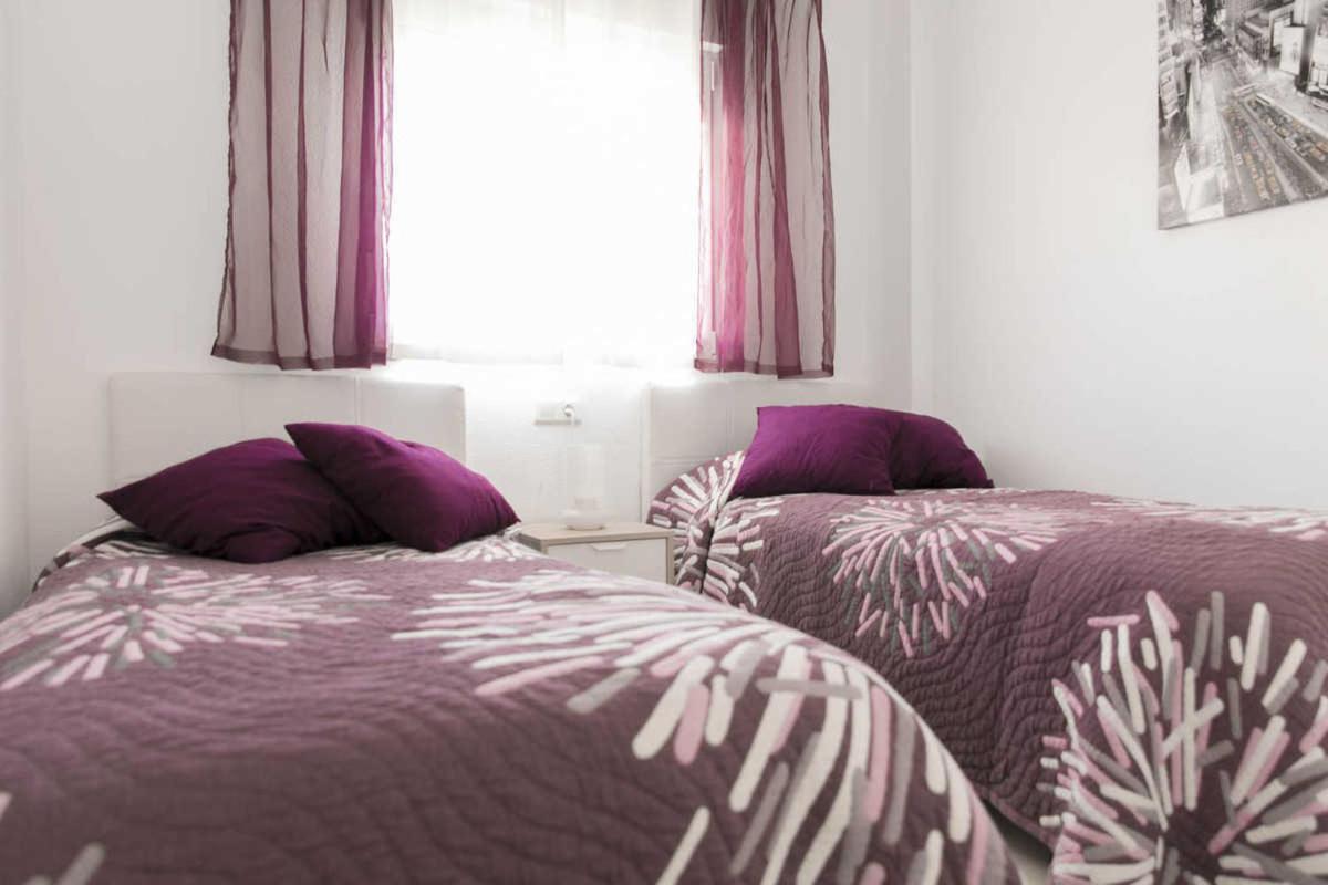 Apartment Aguila Real