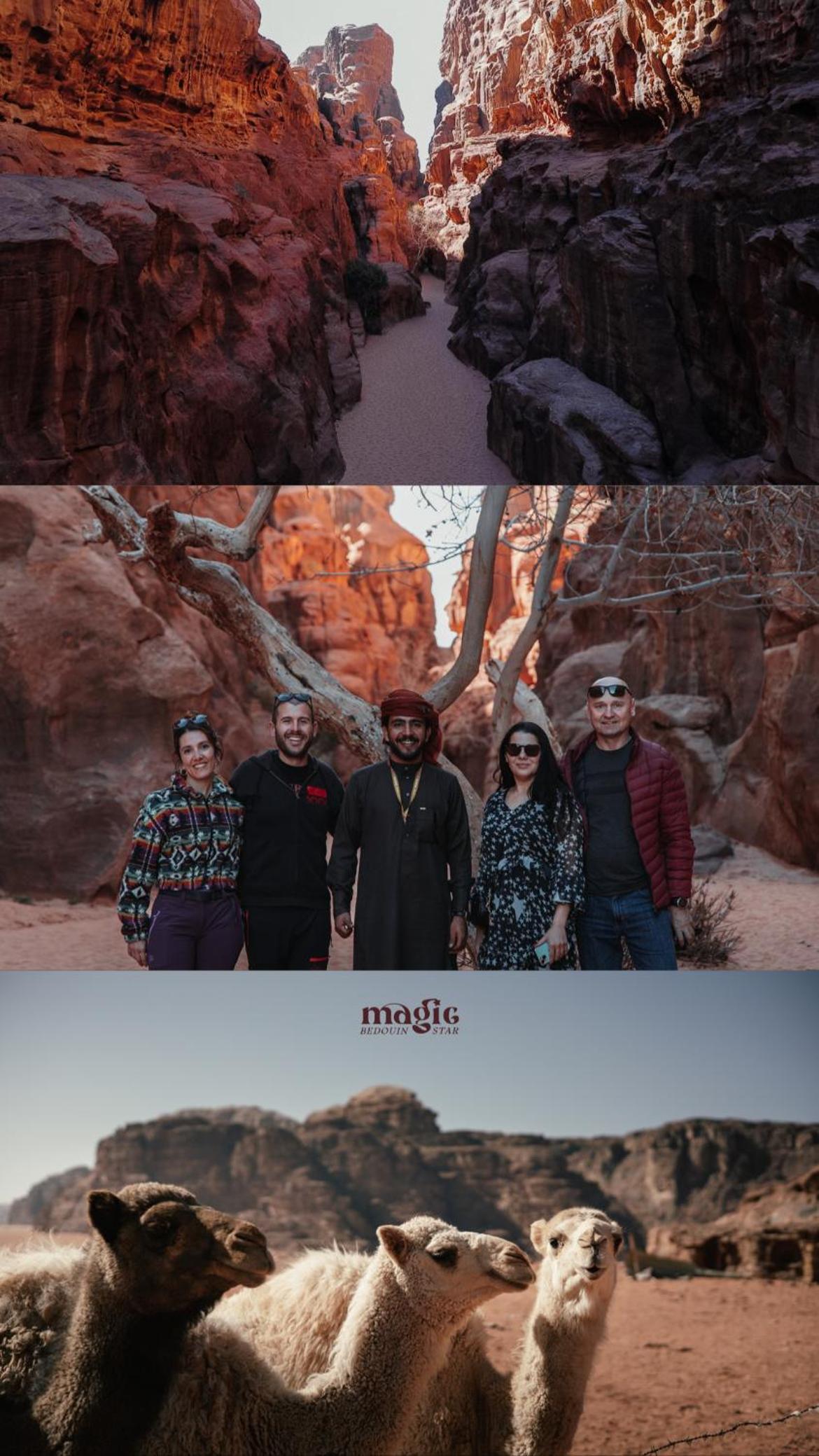Photo 120