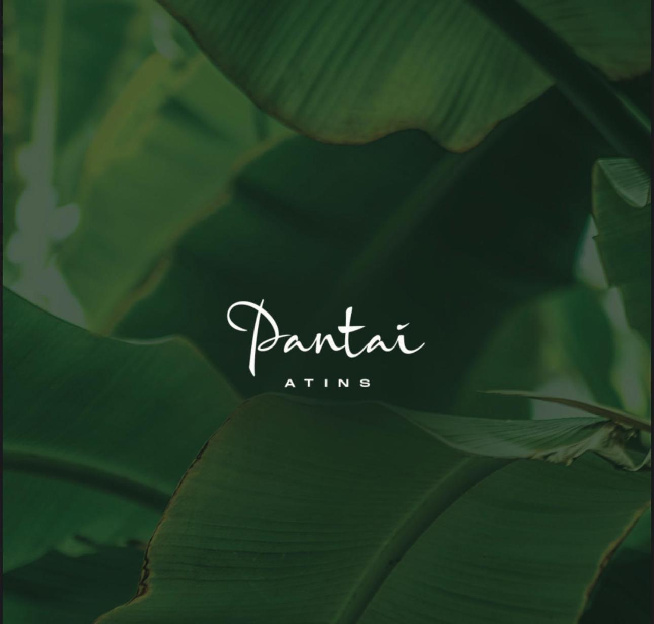 Pantai Atins