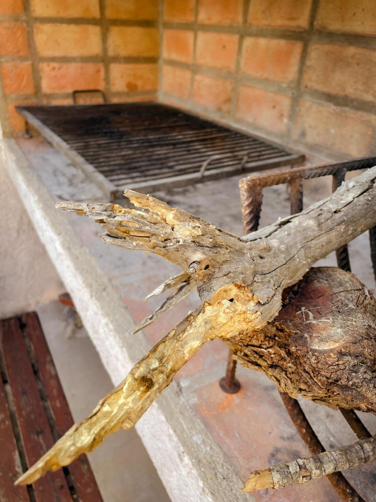 Andelka-Chumamaya Merlo San Luis