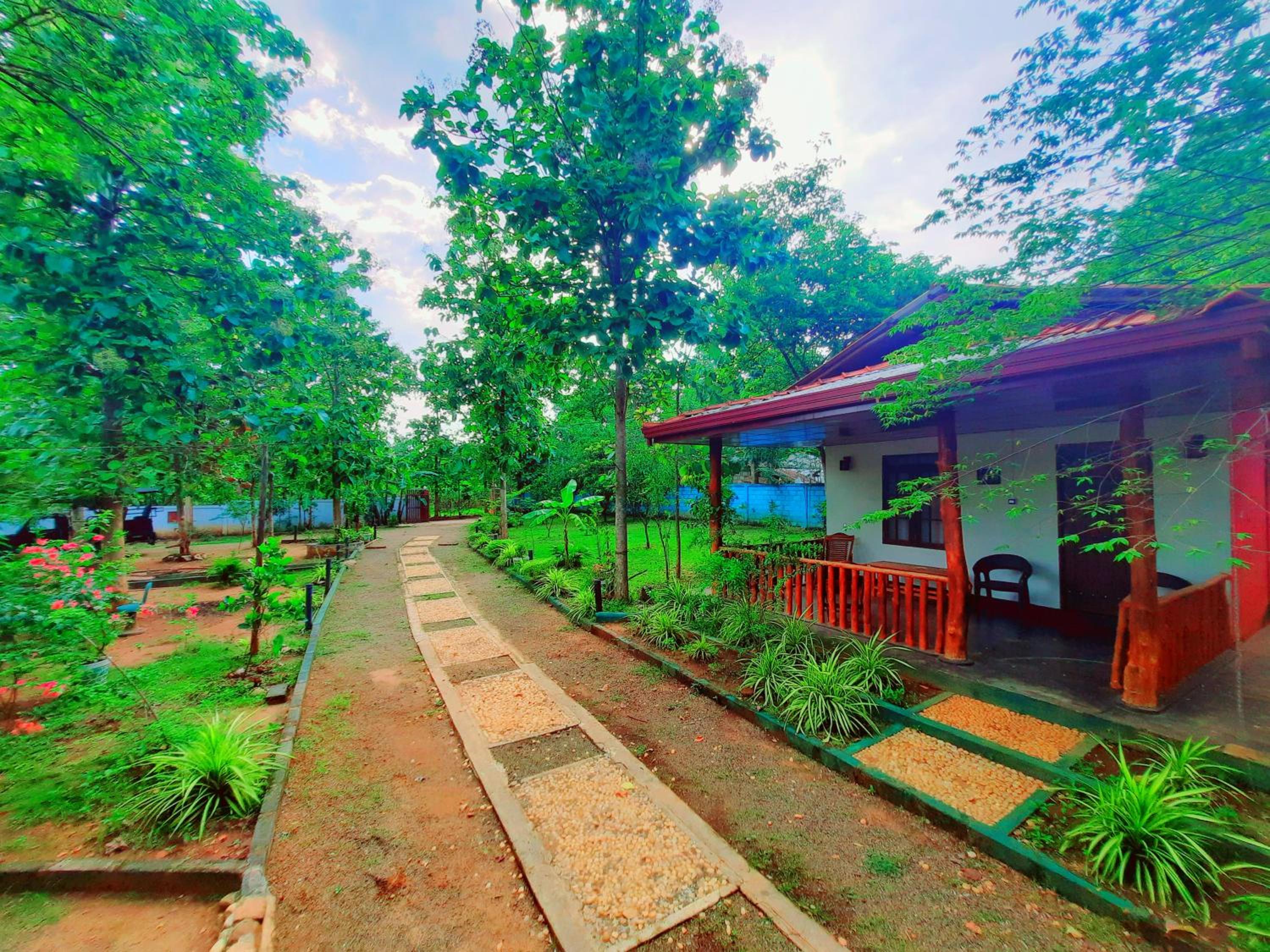 La Casa Safari Cottages view 5