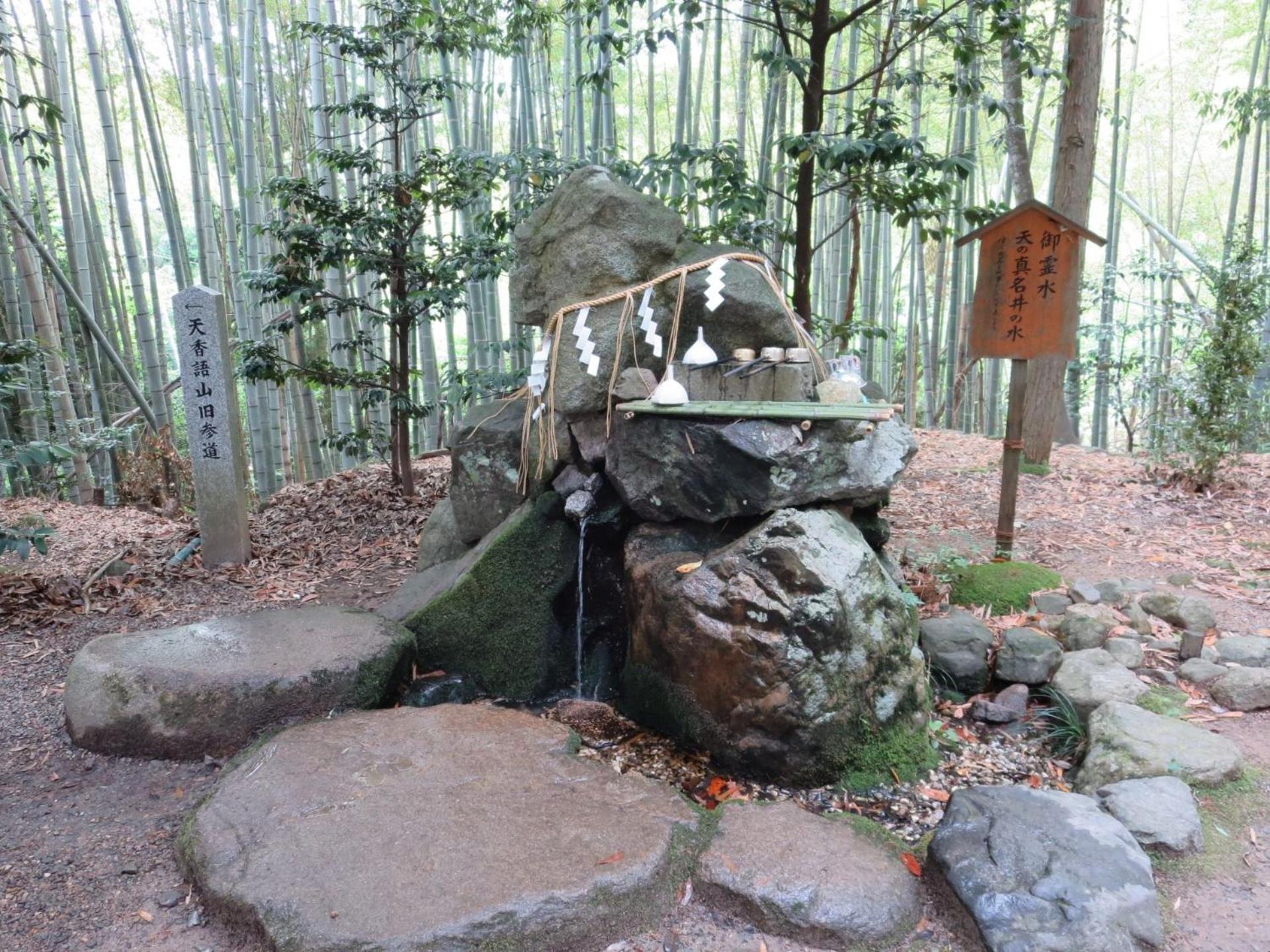 Photo 37