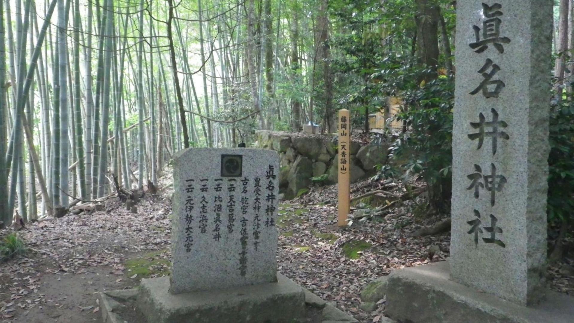 Photo 38