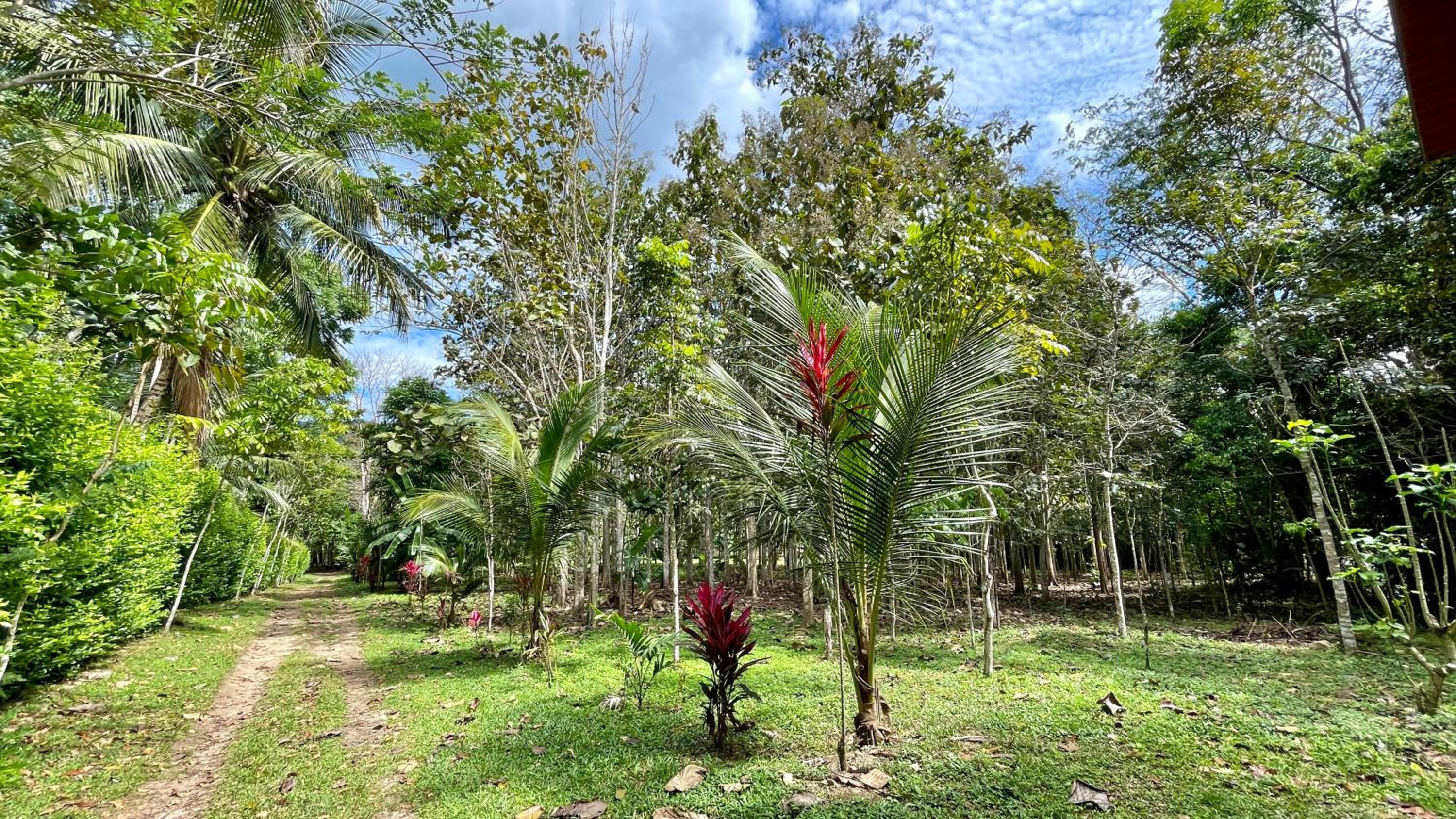 Photo 18