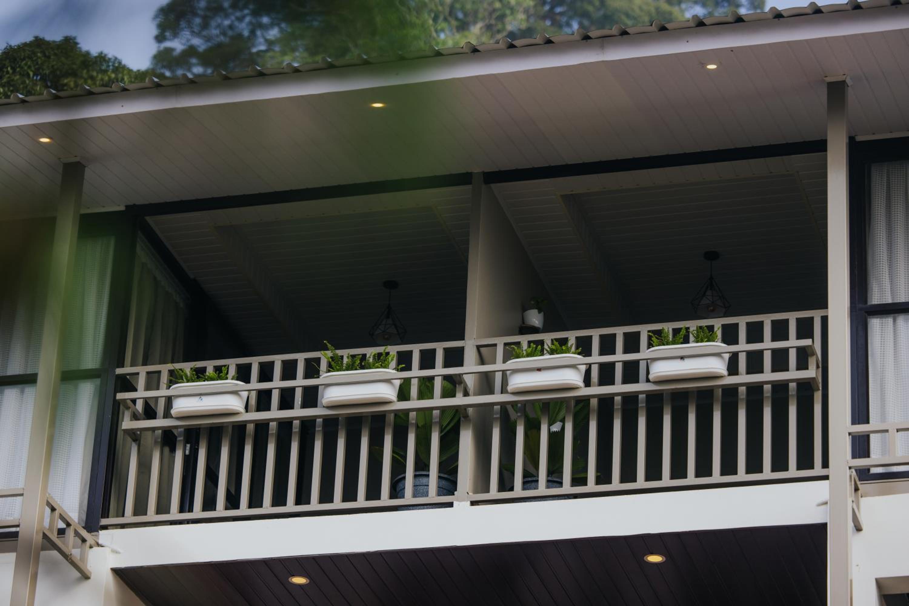 Misty Courtyard Resort