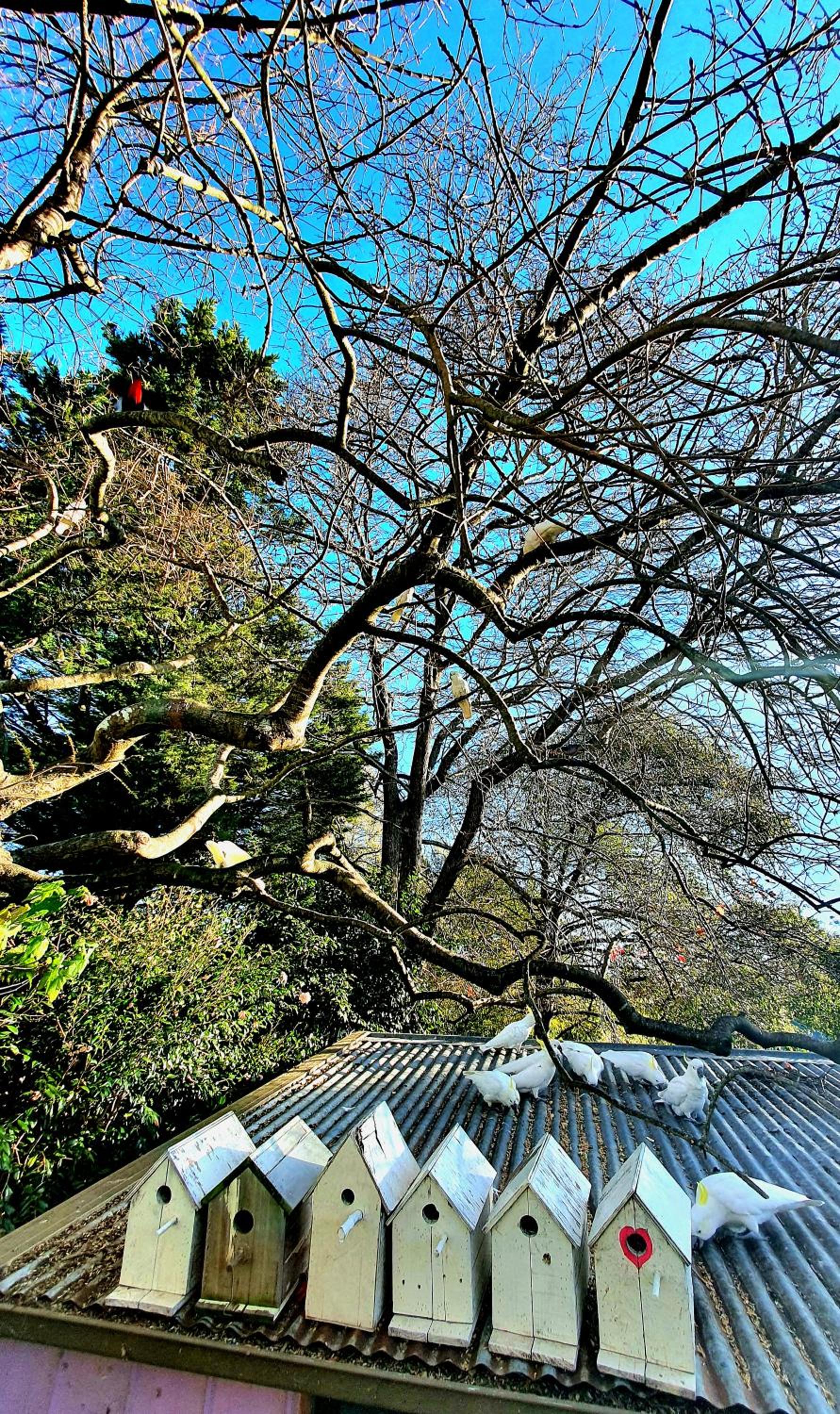 Bowral Road Art Gallery Bed and Breakfast