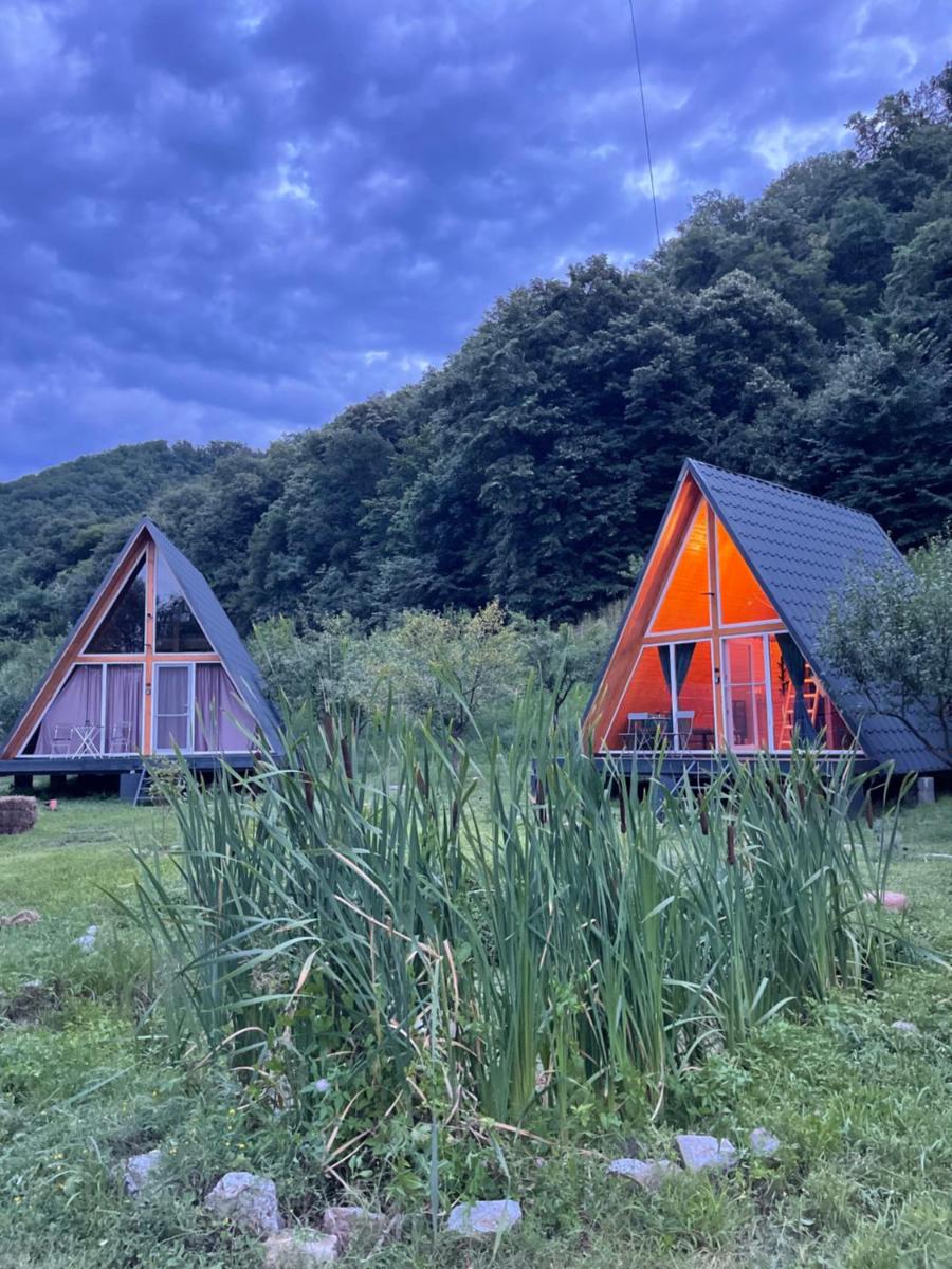 Cabane A-Frame Svinița view 2