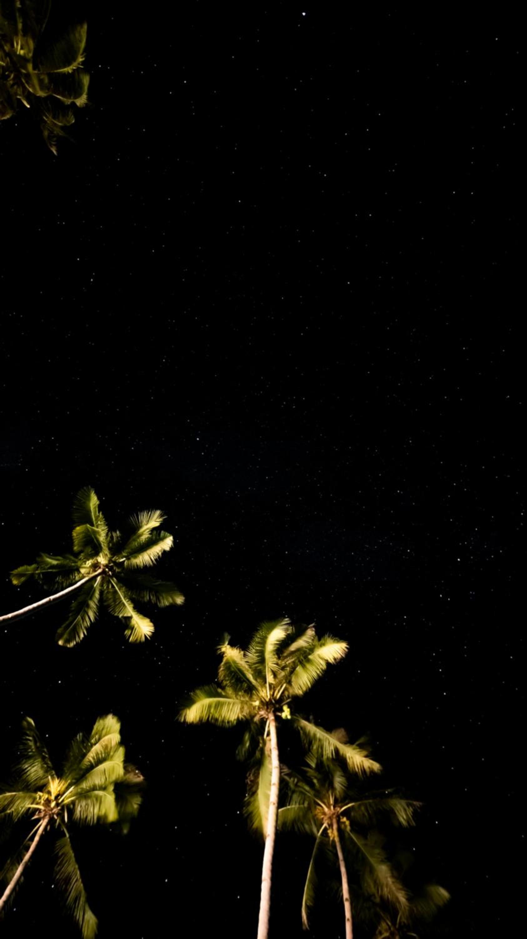 Photo 50