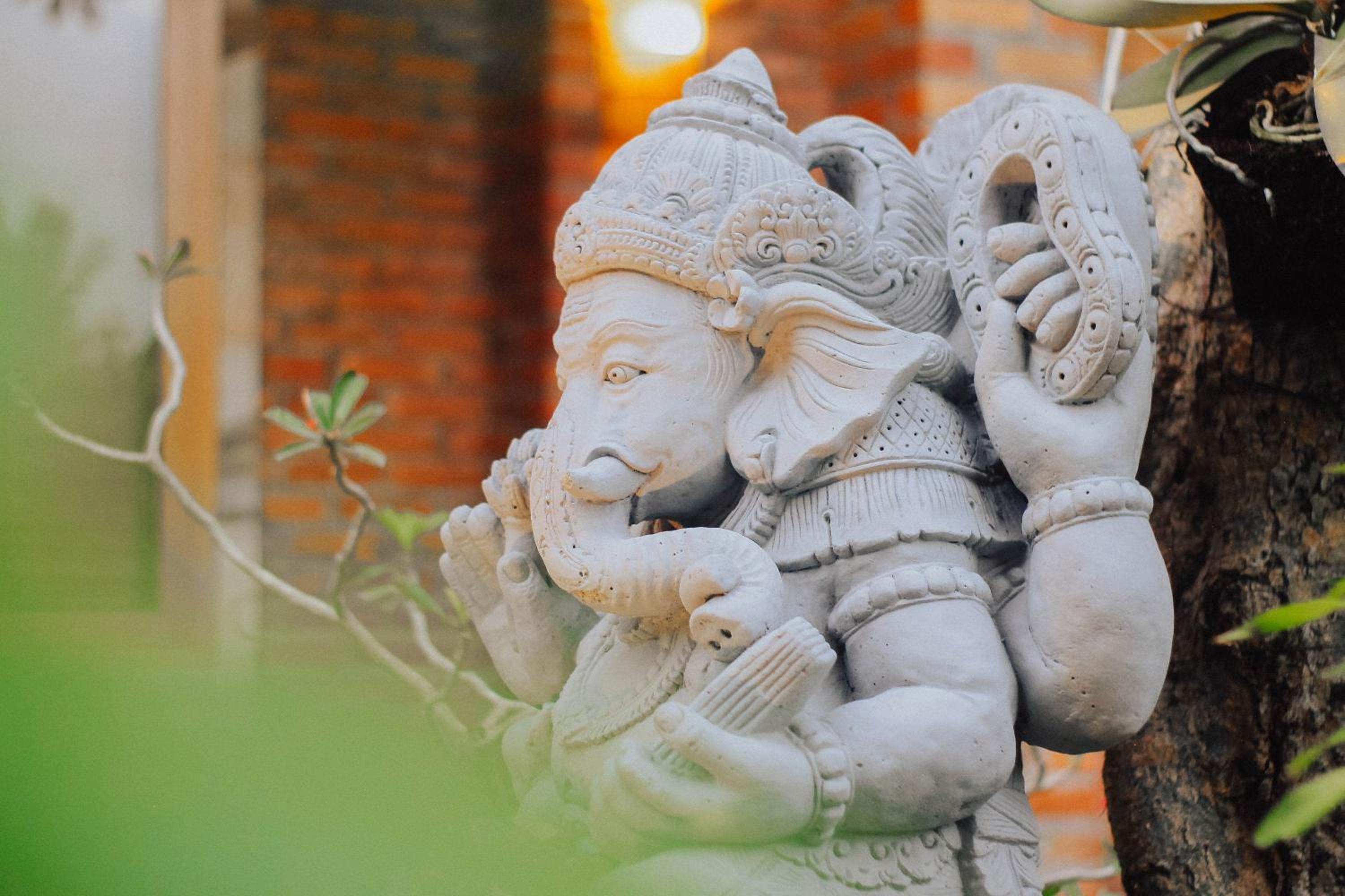 The Govardhan Homestay view 3