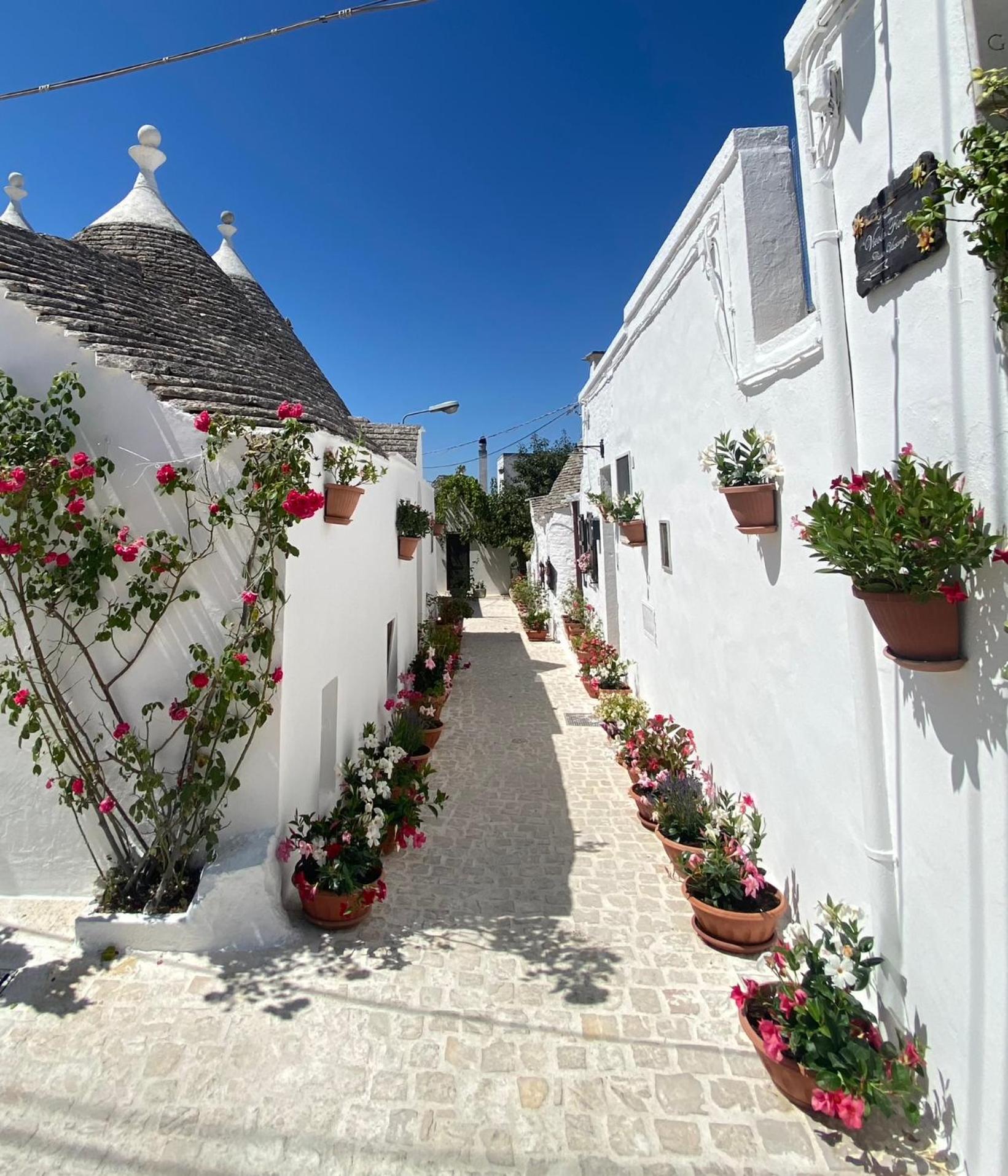 Trullo "Vicolo Fiorito" view 2