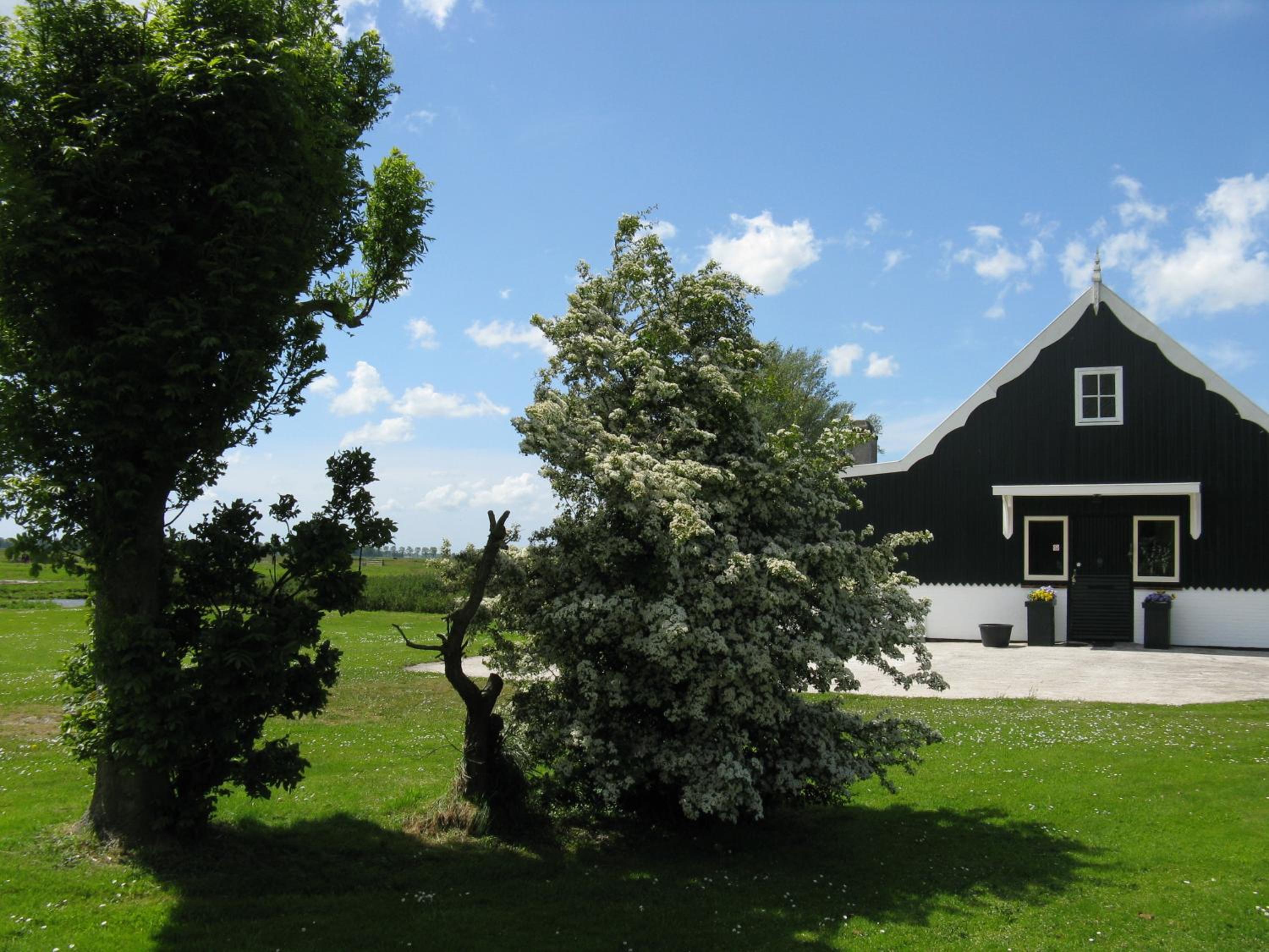 Photo 22