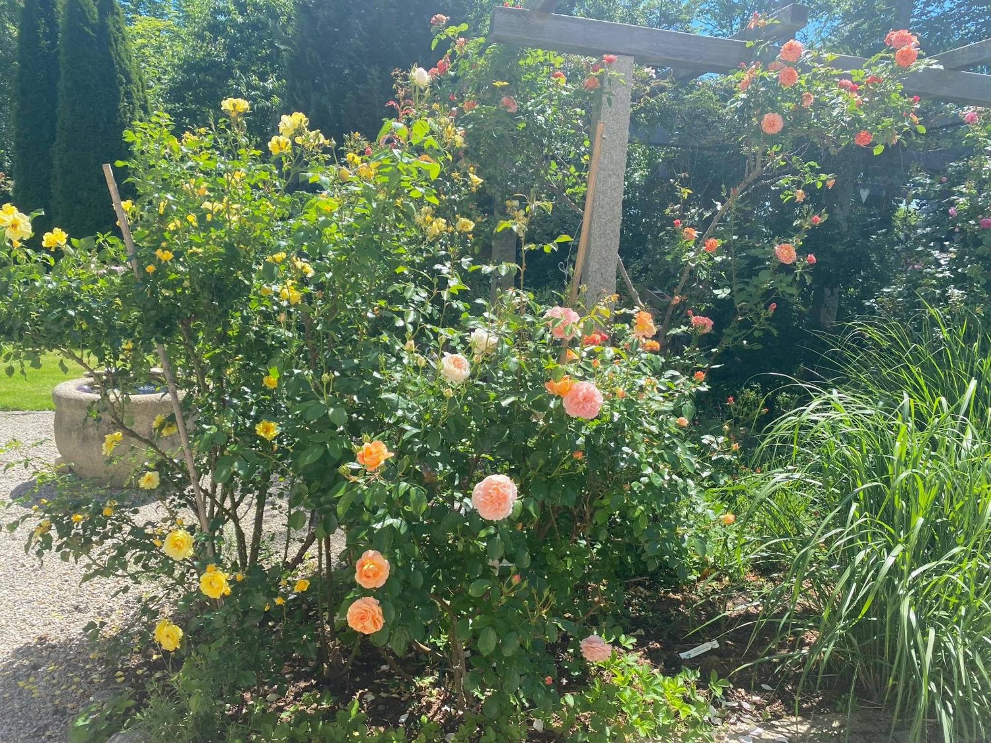 Ferienwohnung Jardin im Kunsthaus