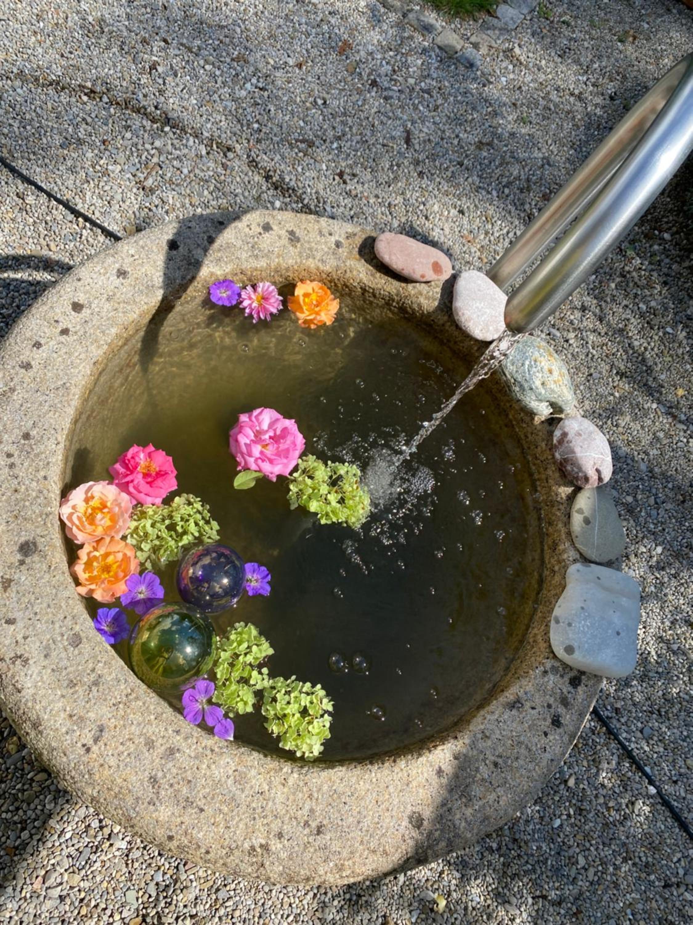 Ferienwohnung Jardin im Kunsthaus