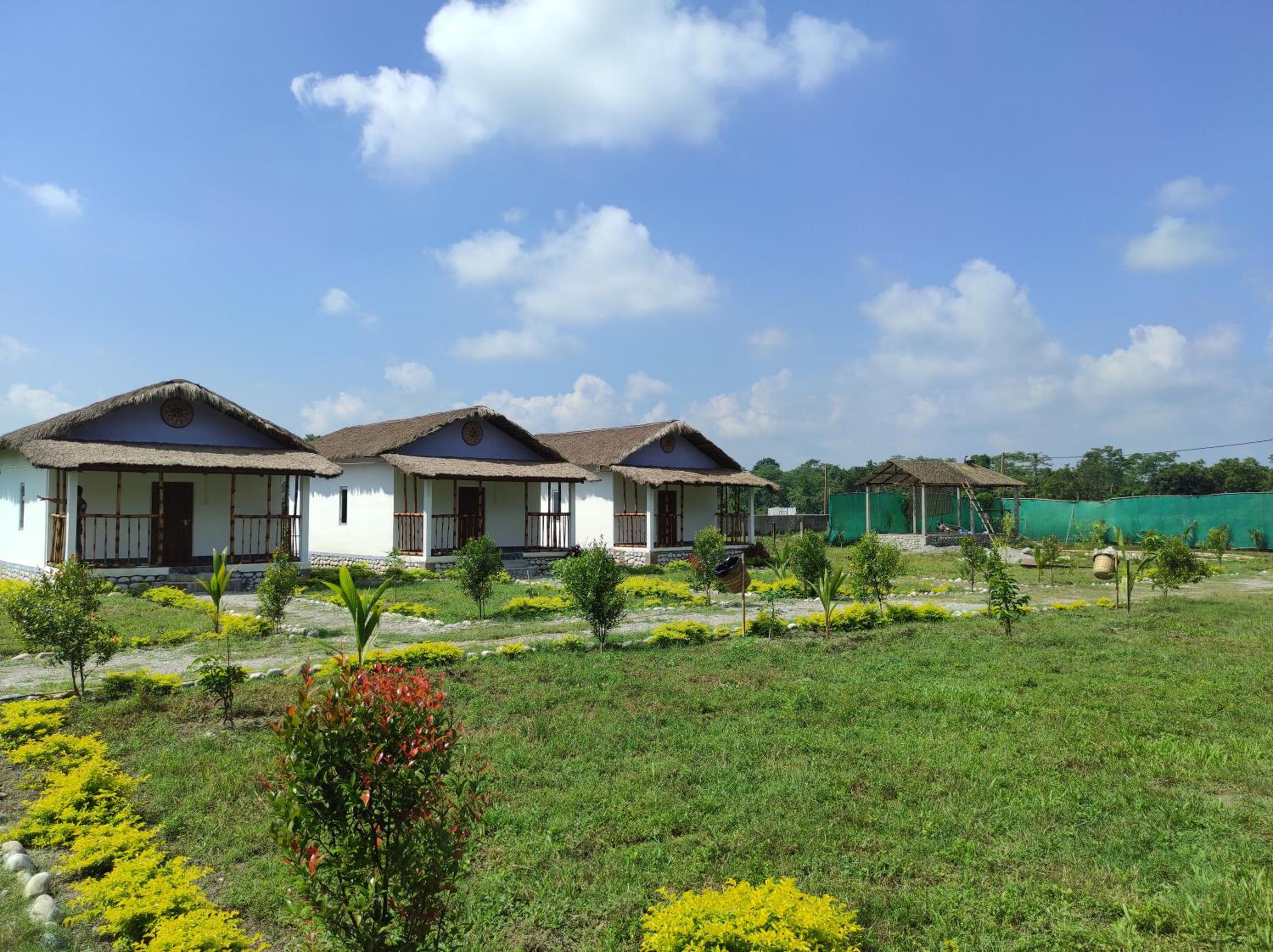 Falcon Jungle Resort