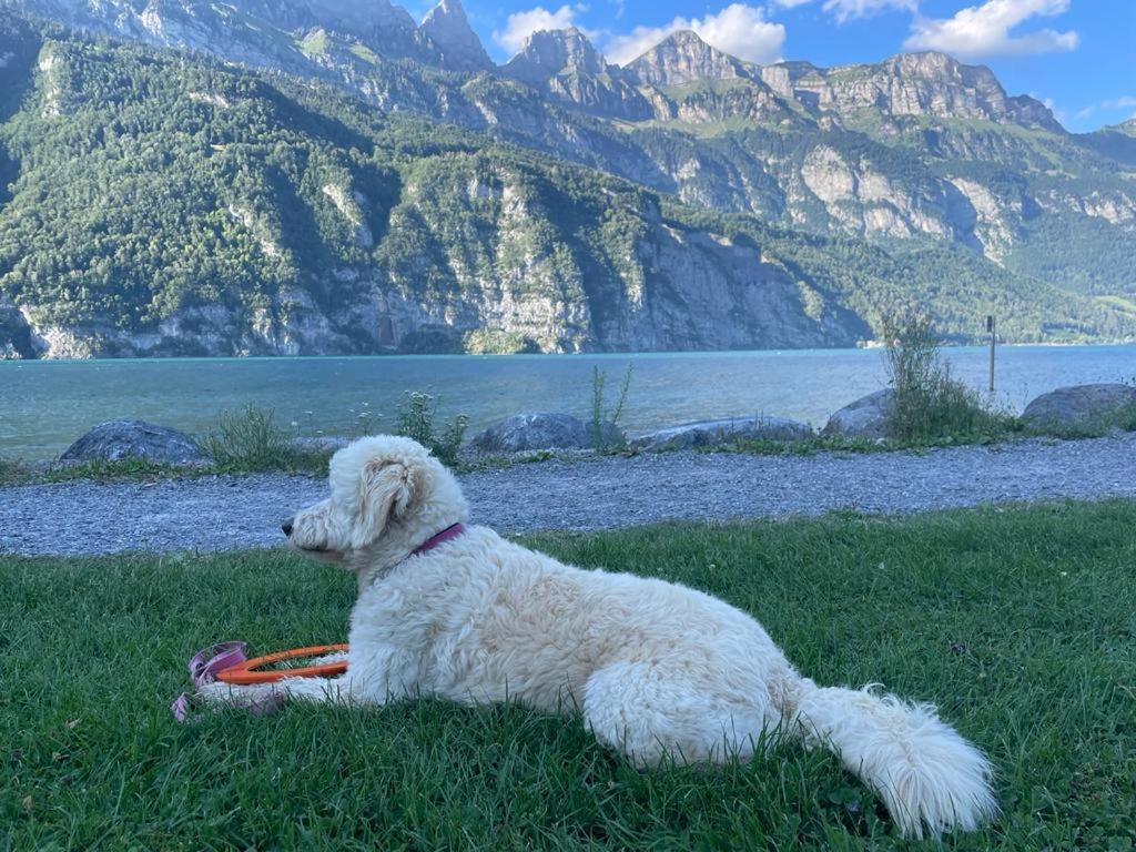 Doodle's Amazing Chalet -Walensee - Flumserberg - Churfirsten - Heidiland - Pool - Sauna