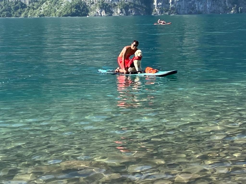 Doodle's Amazing Chalet -Walensee - Flumserberg - Churfirsten - Heidiland - Pool - Sauna