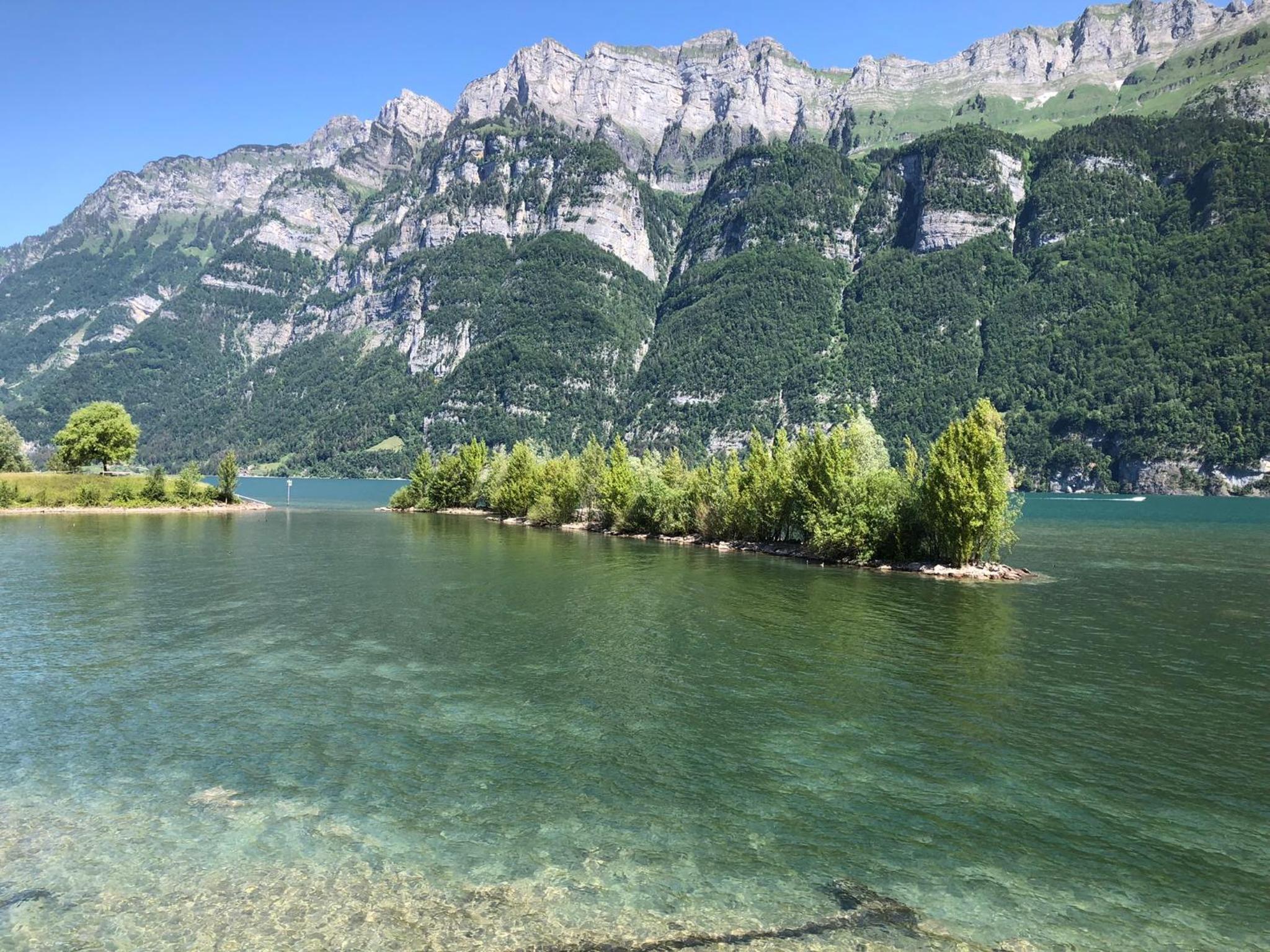 Doodle's Amazing Chalet -Walensee - Flumserberg - Churfirsten - Heidiland - Pool - Sauna
