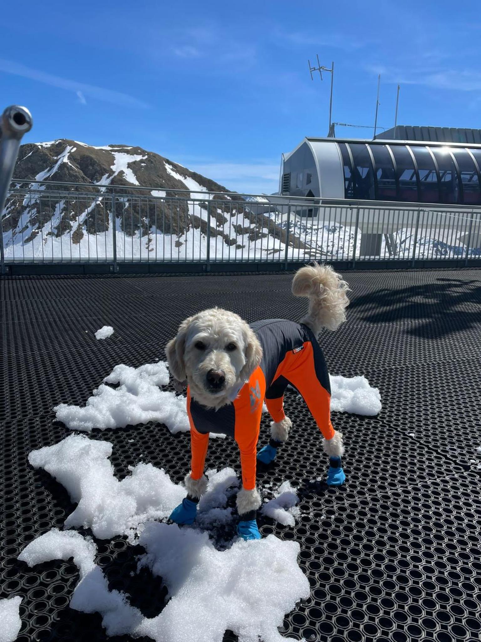 Doodle's Amazing Chalet -Walensee - Flumserberg - Churfirsten - Heidiland - Pool - Sauna