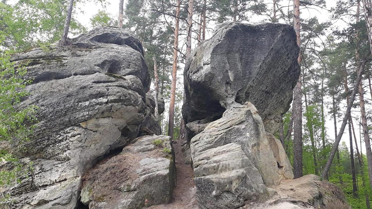 Apartmán Levandule