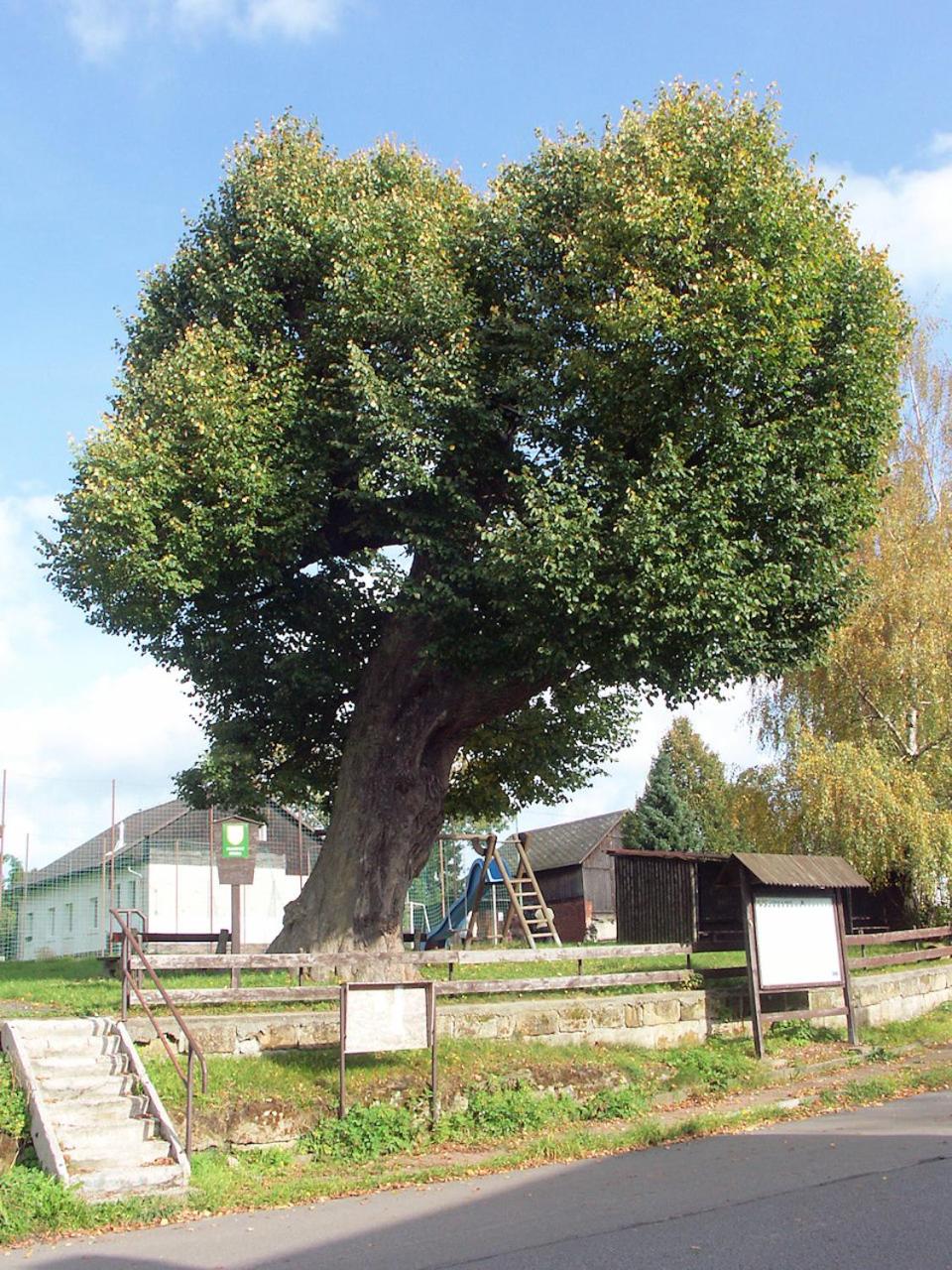 Apartmán Levandule