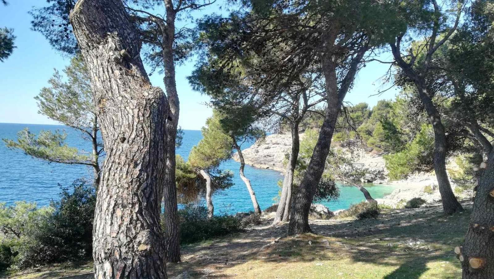 Apartman Sanda