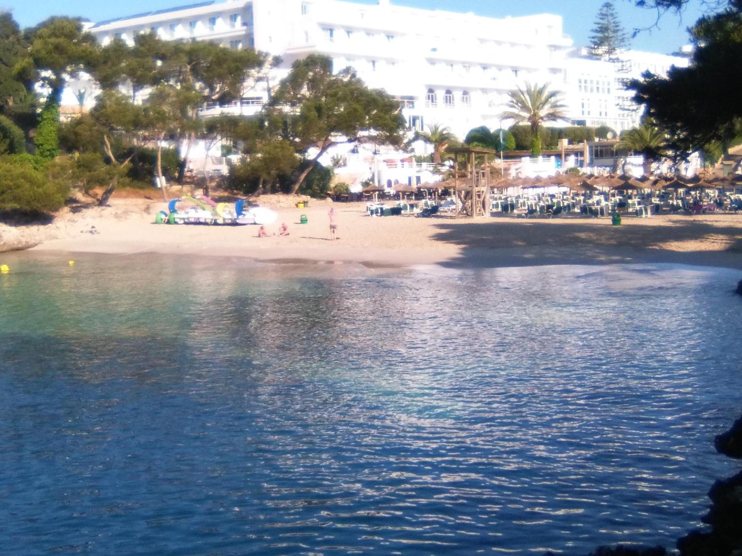 Home D'or photo 3