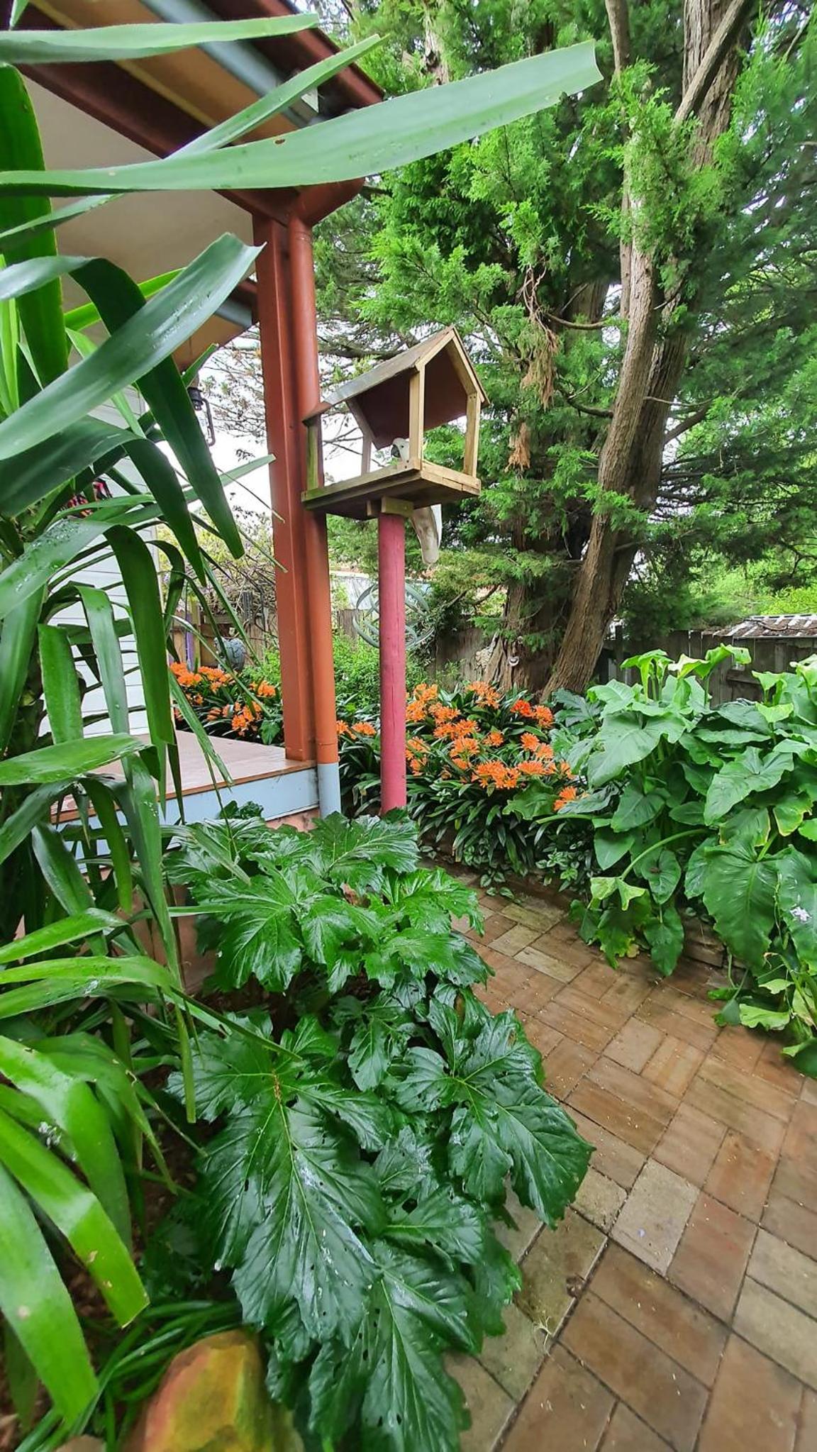 Bowral Road Art Gallery Bed and Breakfast