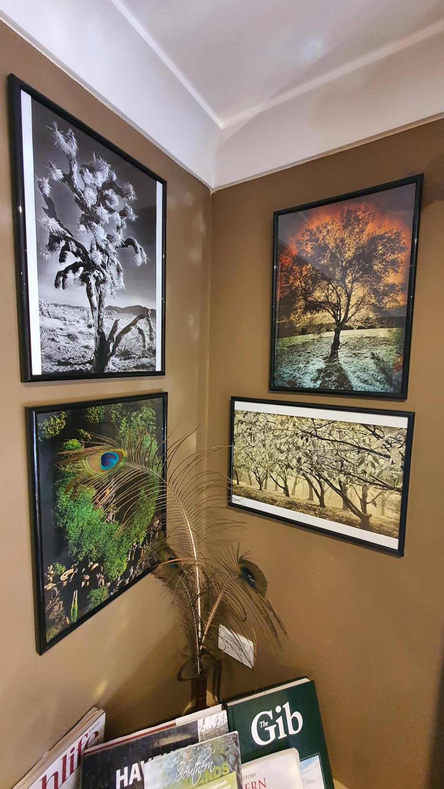 Bowral Road Art Gallery Bed and Breakfast