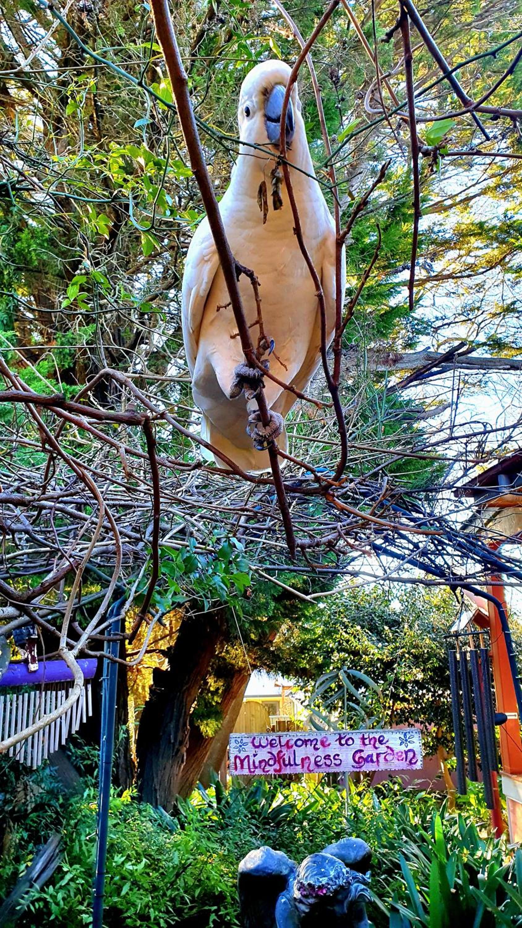 Bowral Road Art Gallery Bed and Breakfast