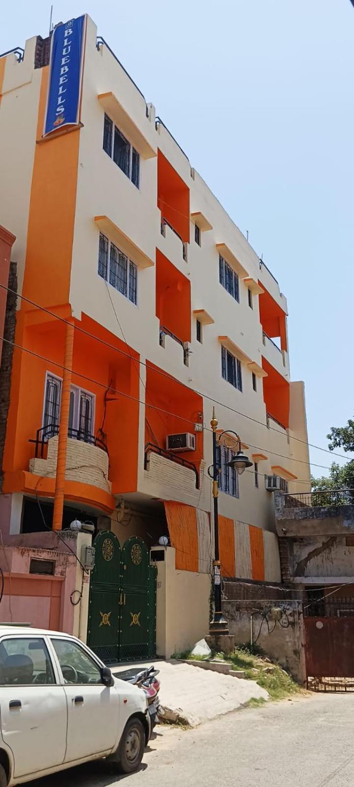 Bluebells Varanasi view 4